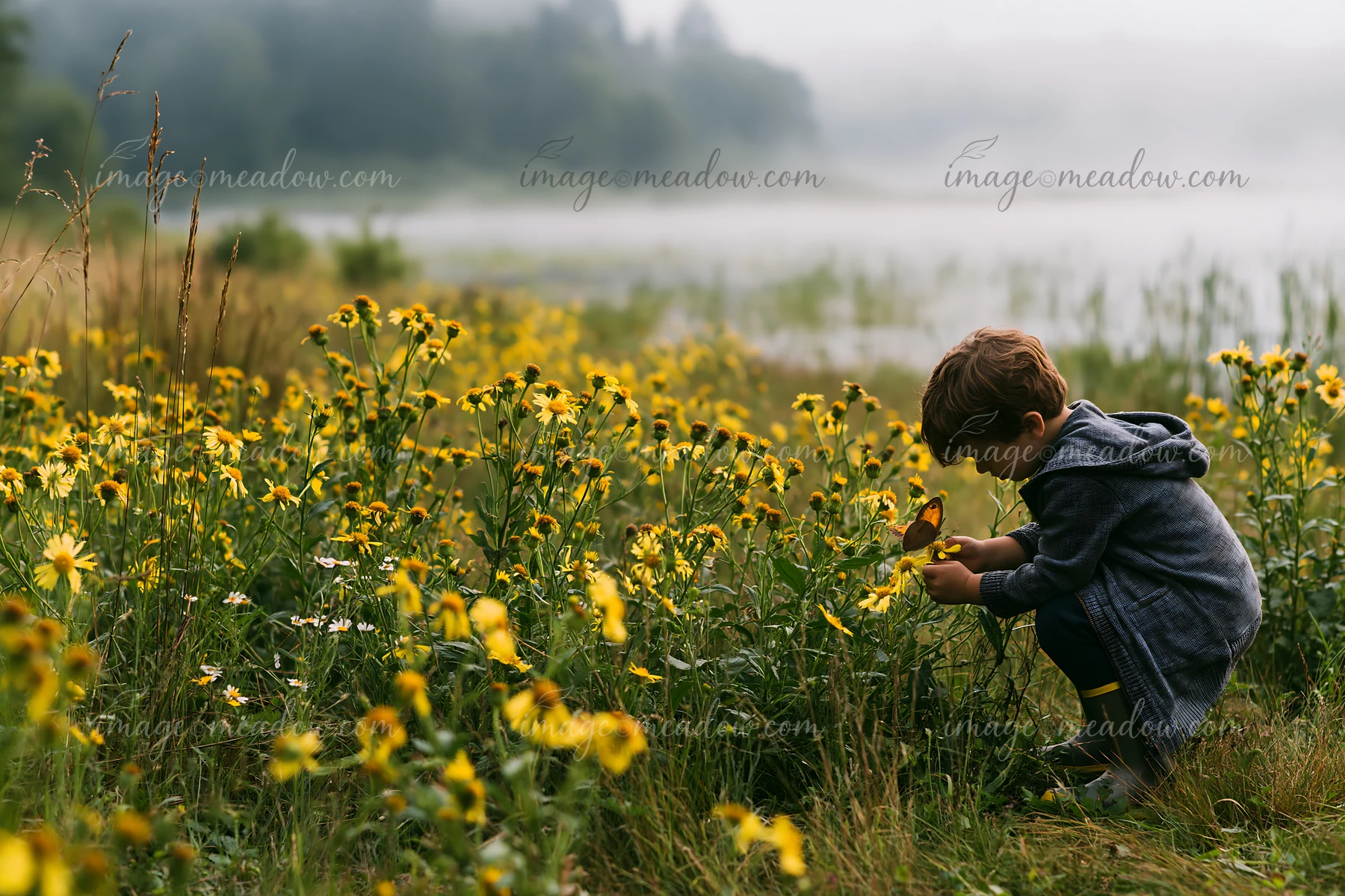 A boy crouches in a meadow filled with yellow wildflowers, picking them near a misty shoreline.