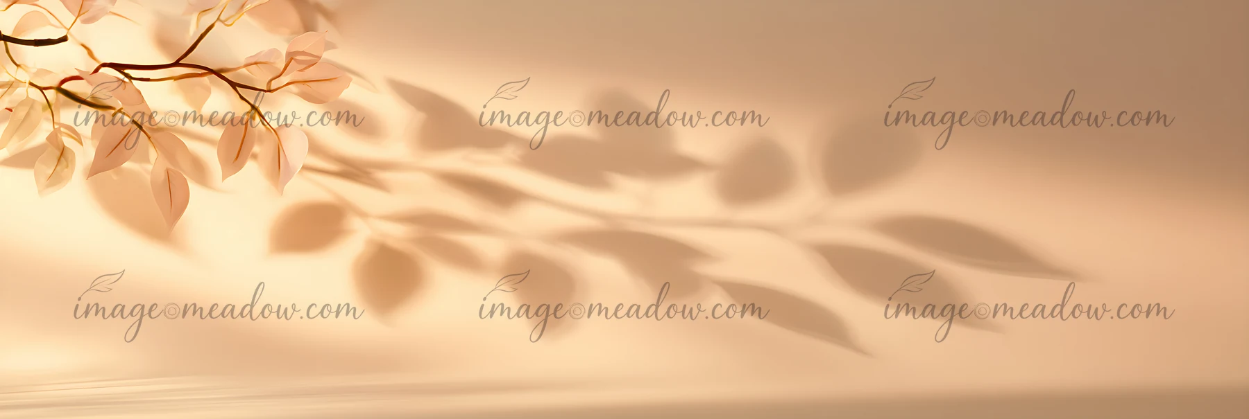 A branch with leaves is positioned against a soft background, creating delicate shadows that fall artistically.