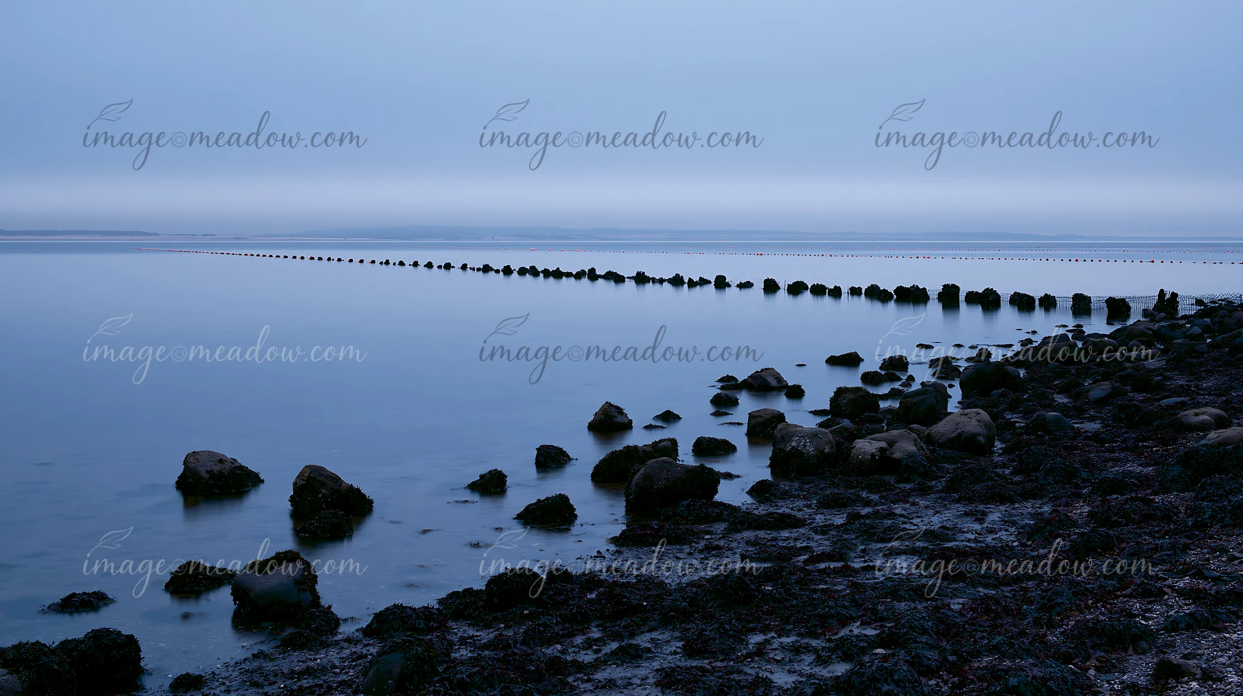 A calm coastline with mussel farms stretches into the distance under a dim sky.