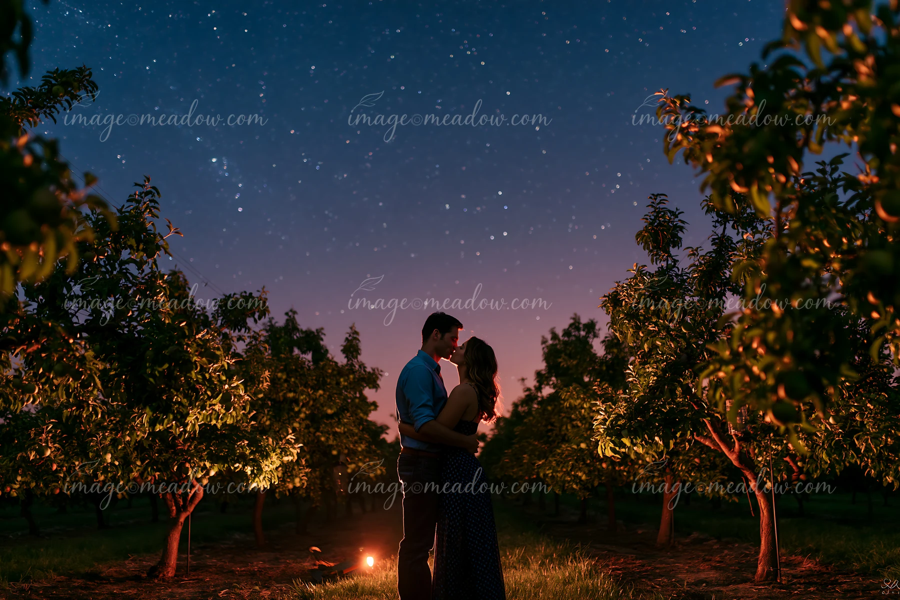 A couple kissing under stars during a romantic date in an orchard at night, surrounded by trees.
