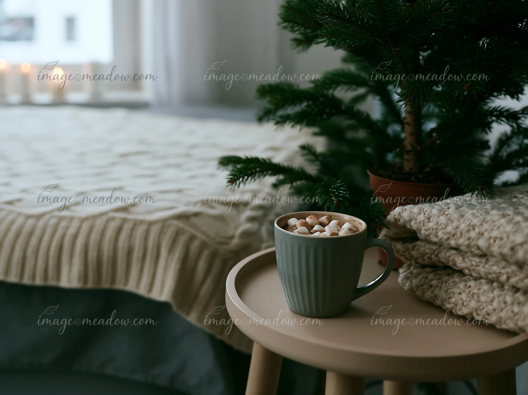 A cup of warm cocoa with marshmallows sits on a stool beside a small tree.