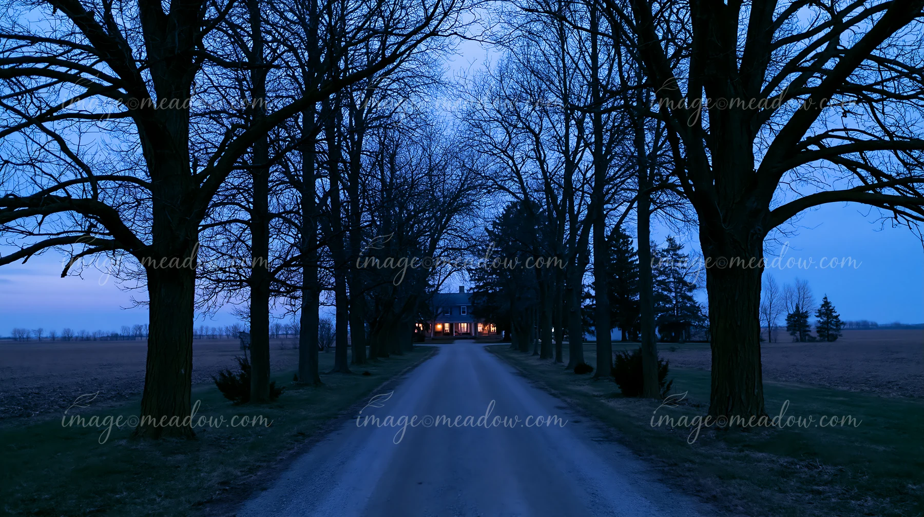 A farmhouse driveway lined with trees leads to a house that glows softly against the backdrop of a twilight sky.