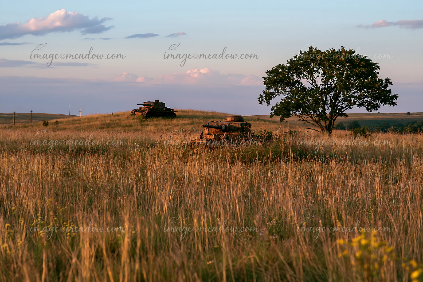 A panzer tank surrounded by grass sits on a hill under a clear sky.