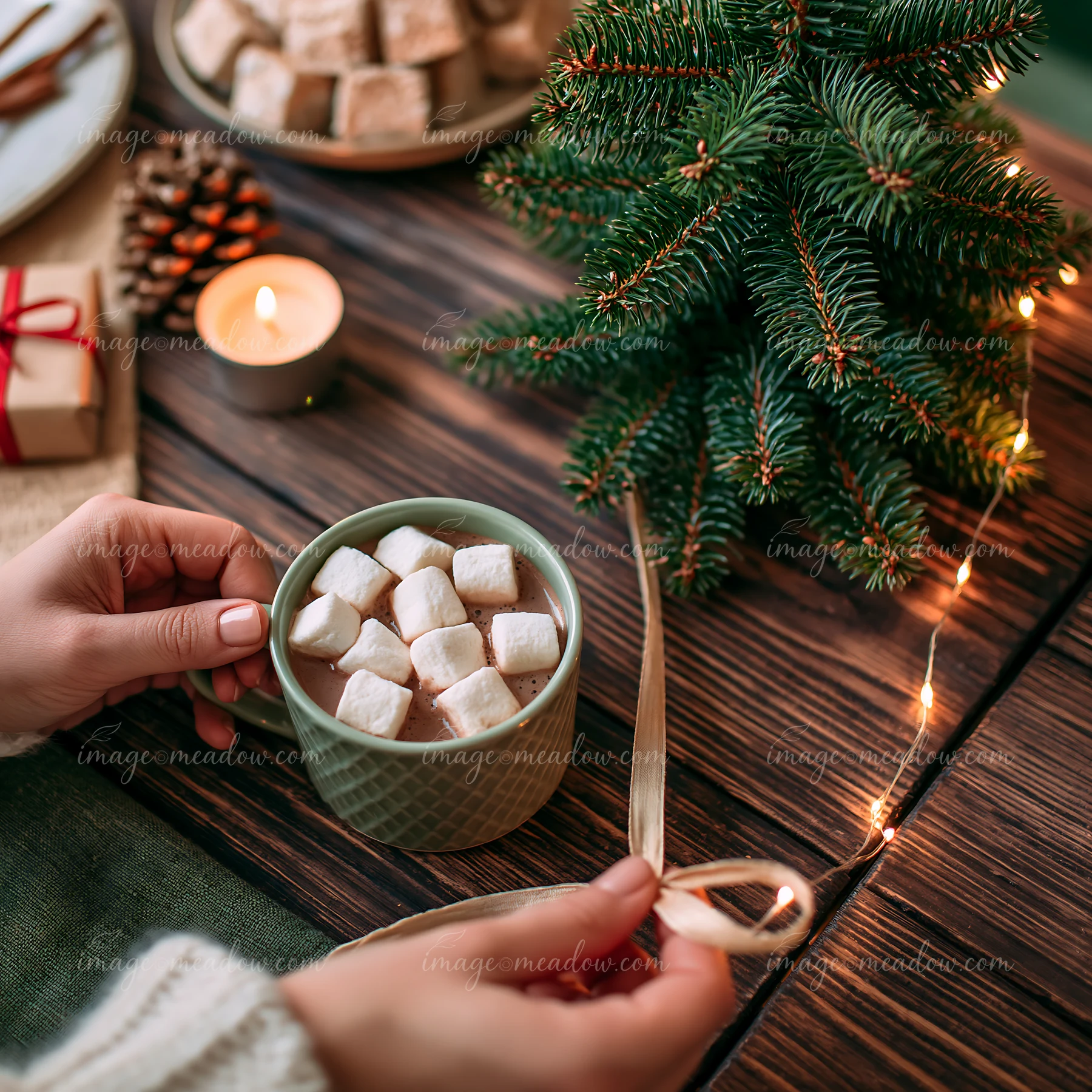 A person holds a cup of warm cocoa topped with marshmallows.