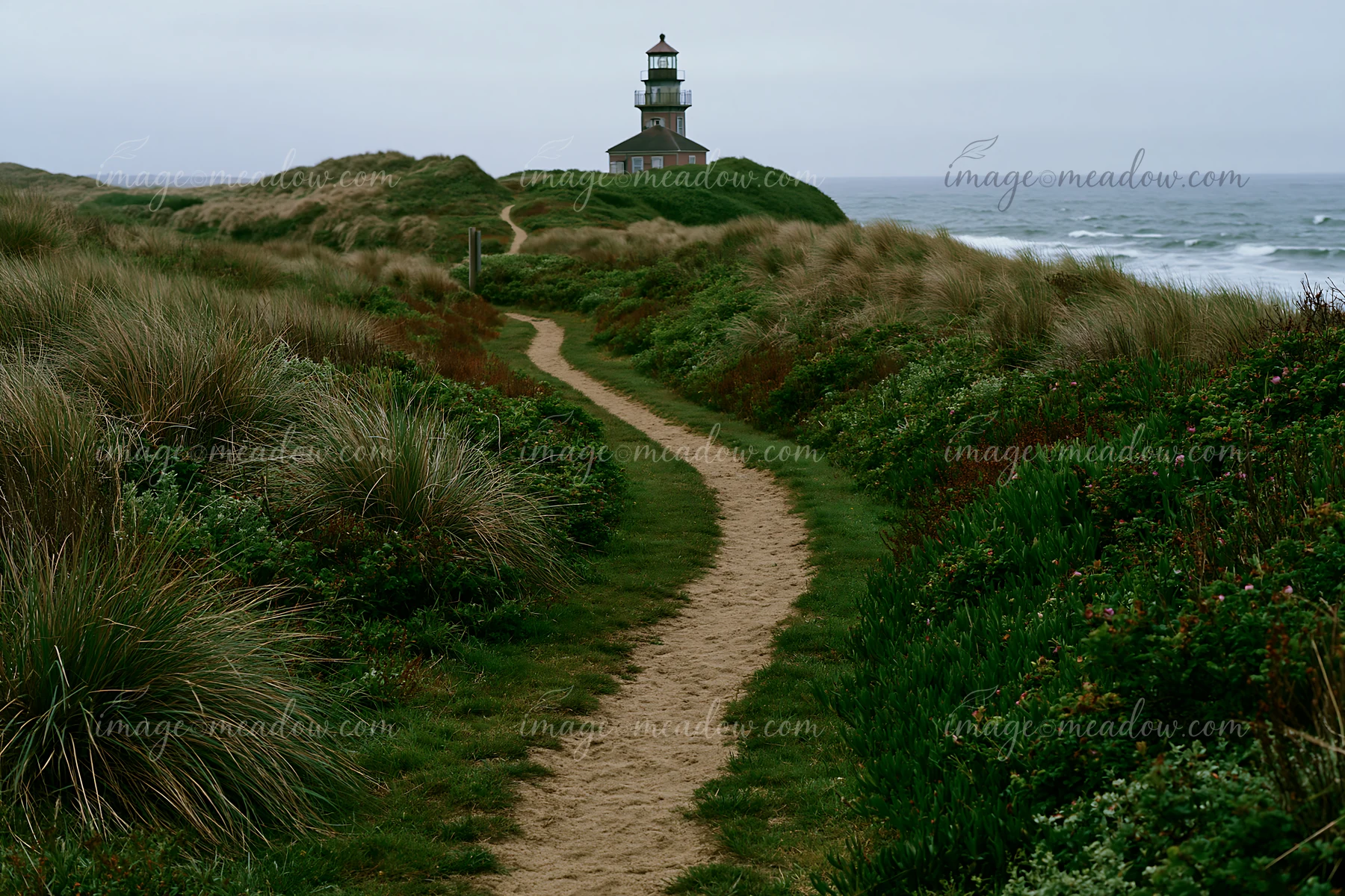 A sandy path leads through coastal dunes to a lighthouse by the sea.