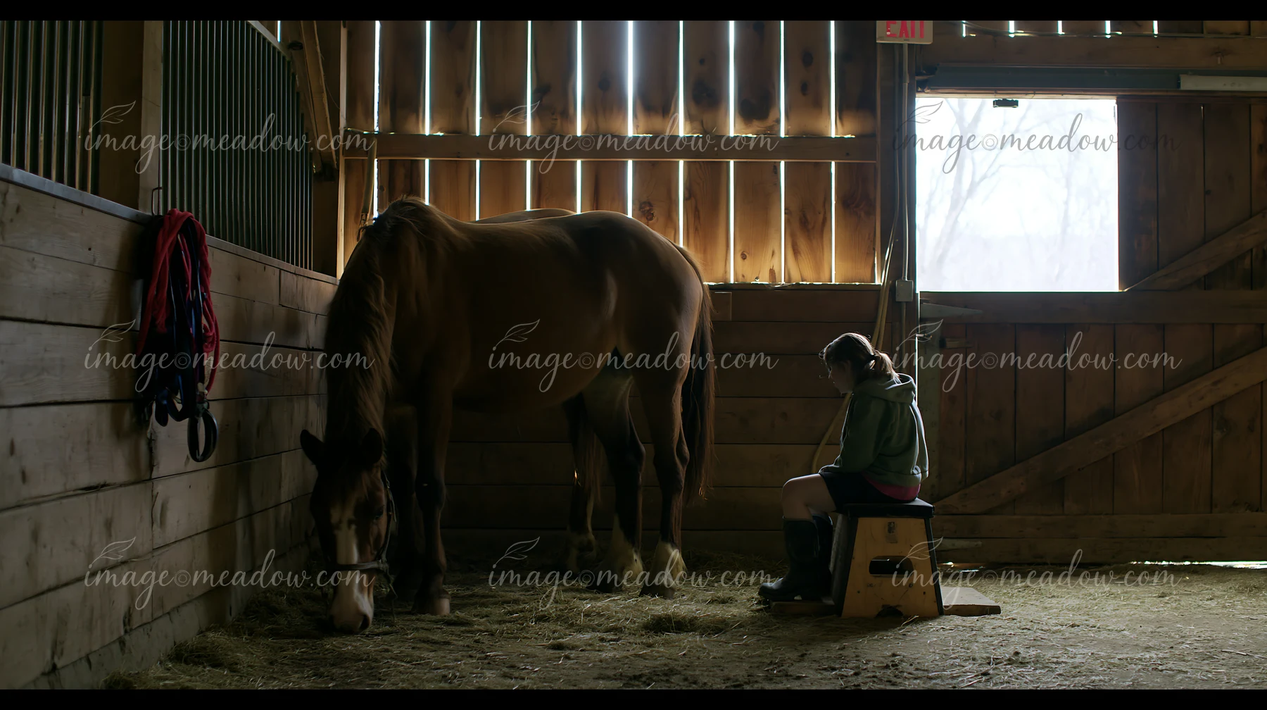 A therapy horse stands beside a patient sitting on a stool in a stable.