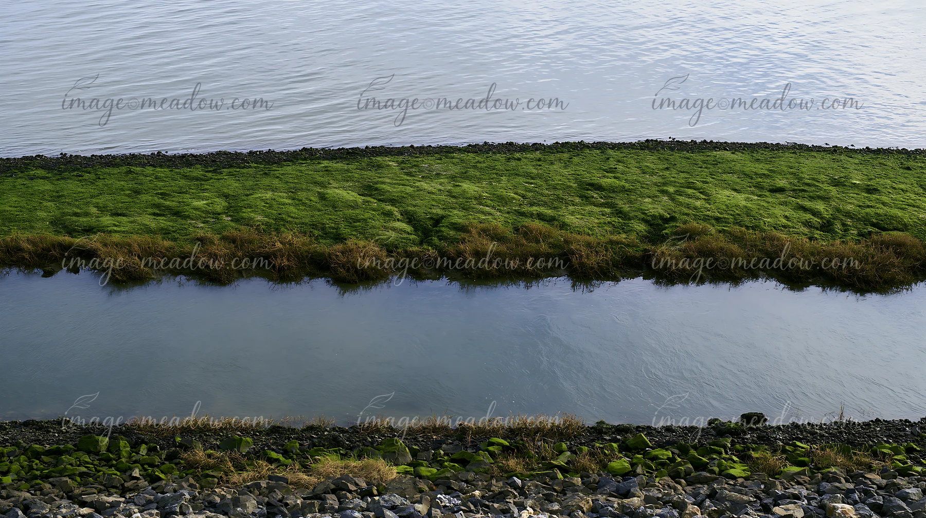 A view showing a coastline with oyster beds, wetland areas, and calm waters.