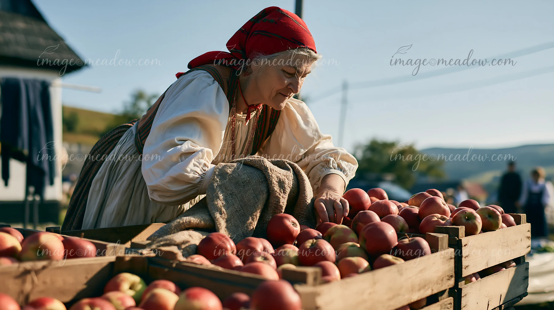 A woman is arranging apples in wooden crates at an outdoor market on a sunny day.