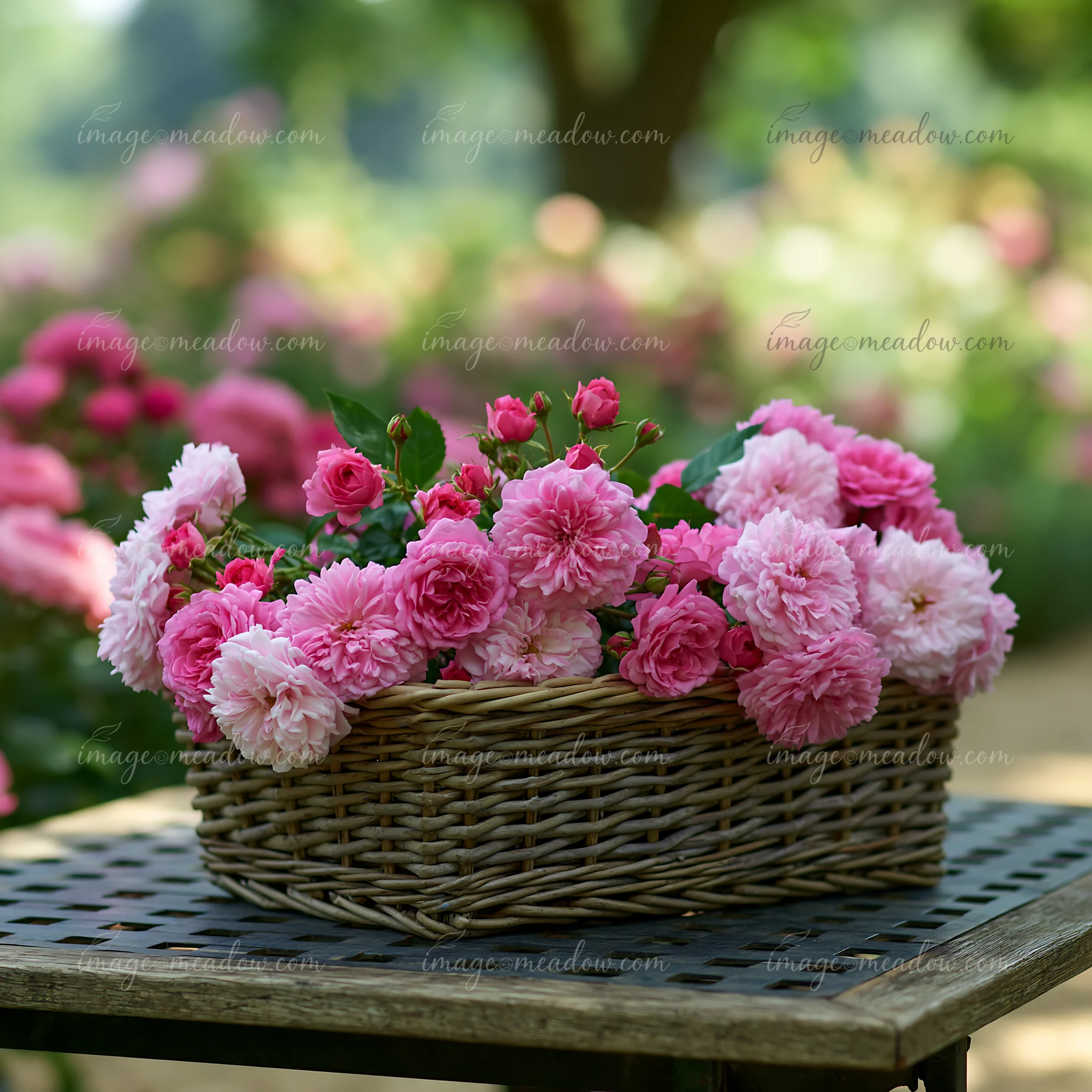 A woven basket filled with blooming roses sits on a table in a cottage garden surrounded by colorful flowers.