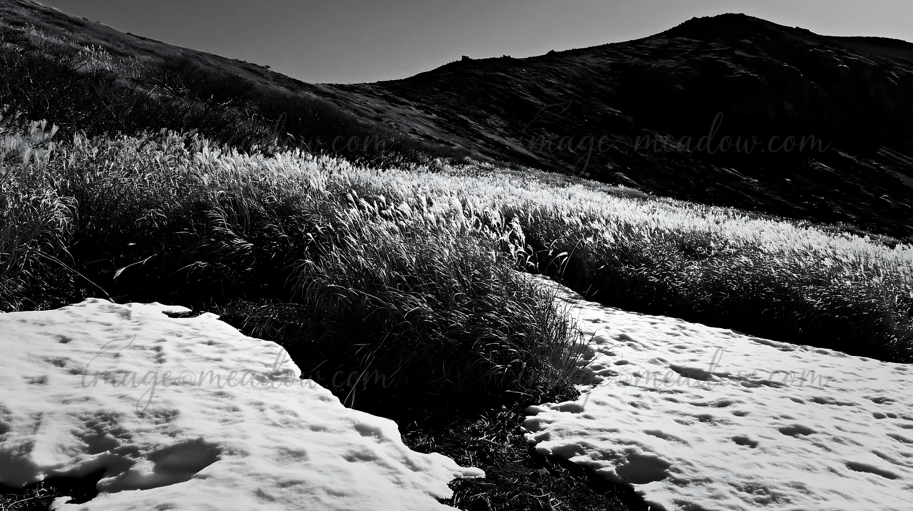 Snow is melting in a meadow filled with silver grasses against a backdrop of hills. The scene shows the transition from winter to spring in the Akita region. Pr