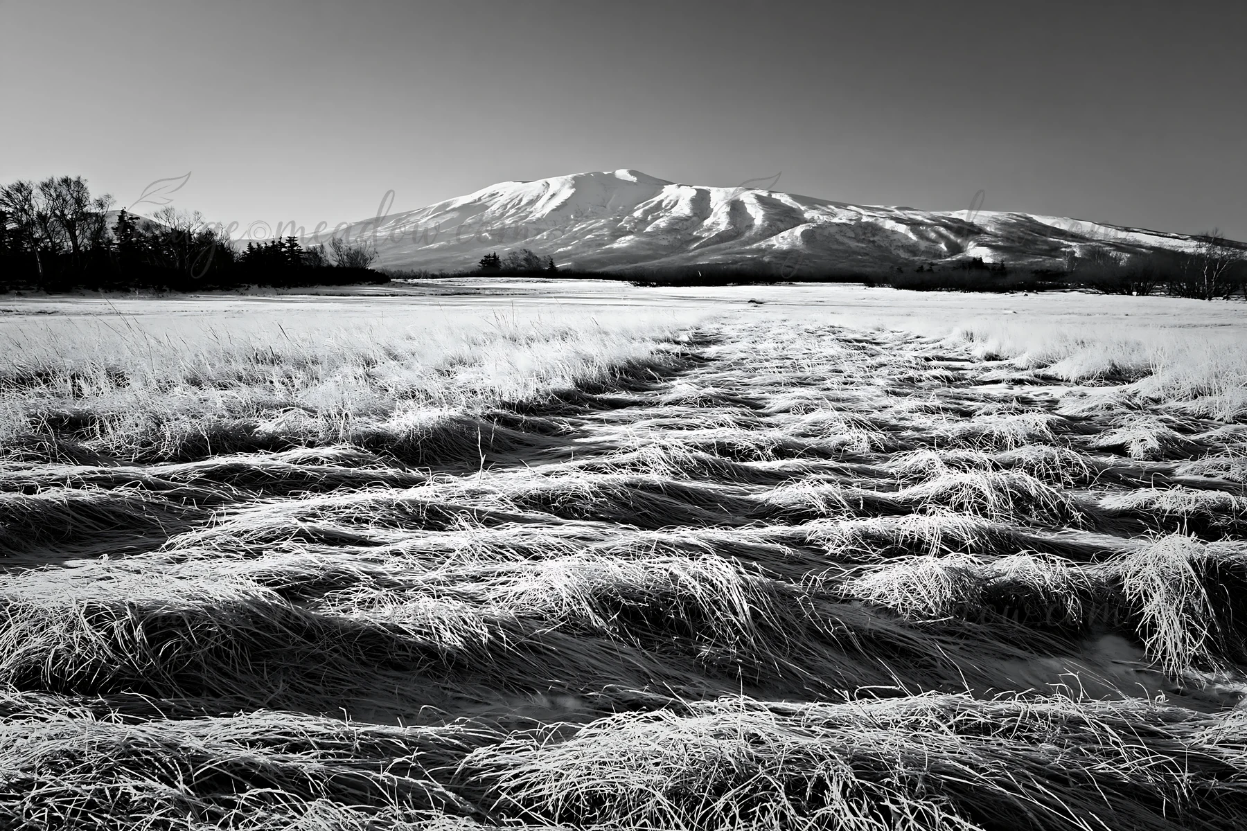 A wide view of a snowmelt meadow in Akita with silver grasses. Mountains rise in the background under clear blue skies, showcasing the landscape. Presented as a