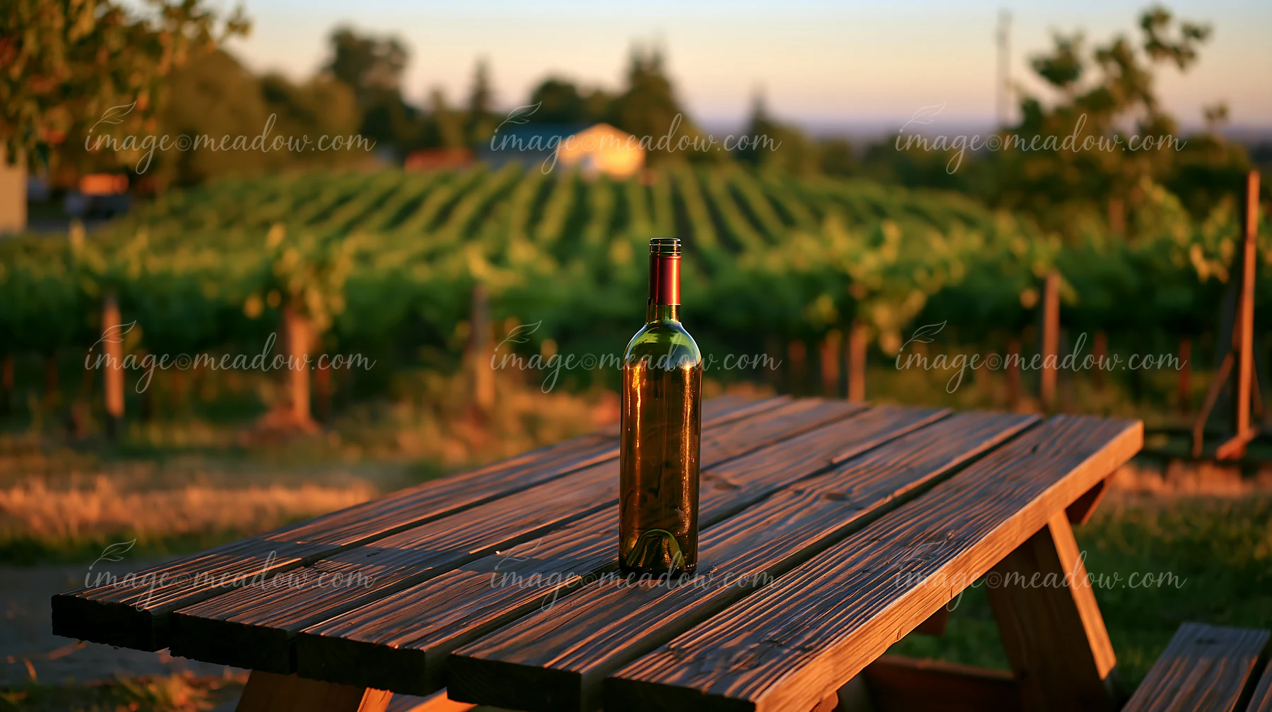 An empty bottle sits alone on a wooden picnic table with a vineyard in the background, as the sun sets, casting warm light over the scene.