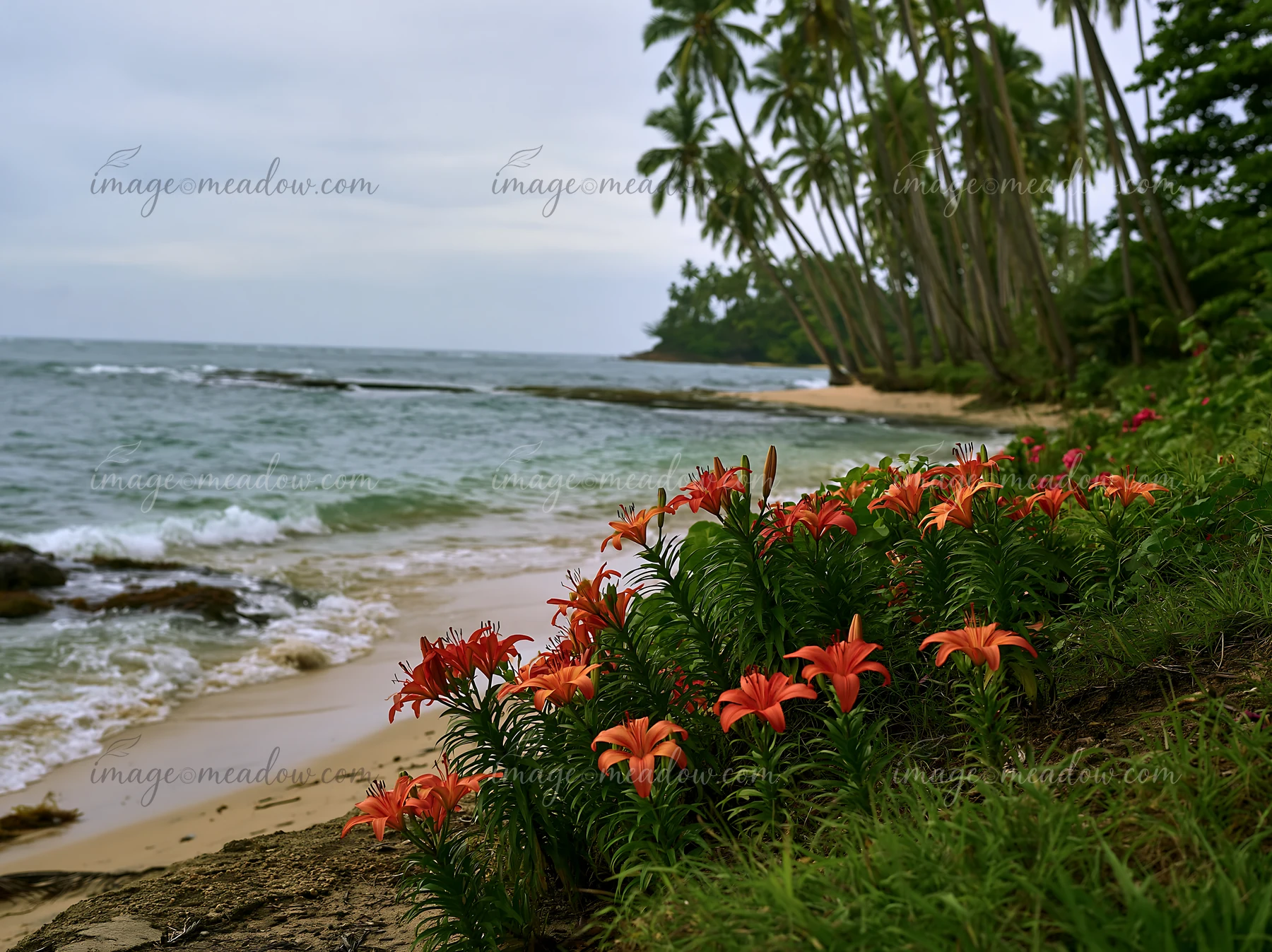 Bright orange flowers grow near the shore on an island with palm trees.