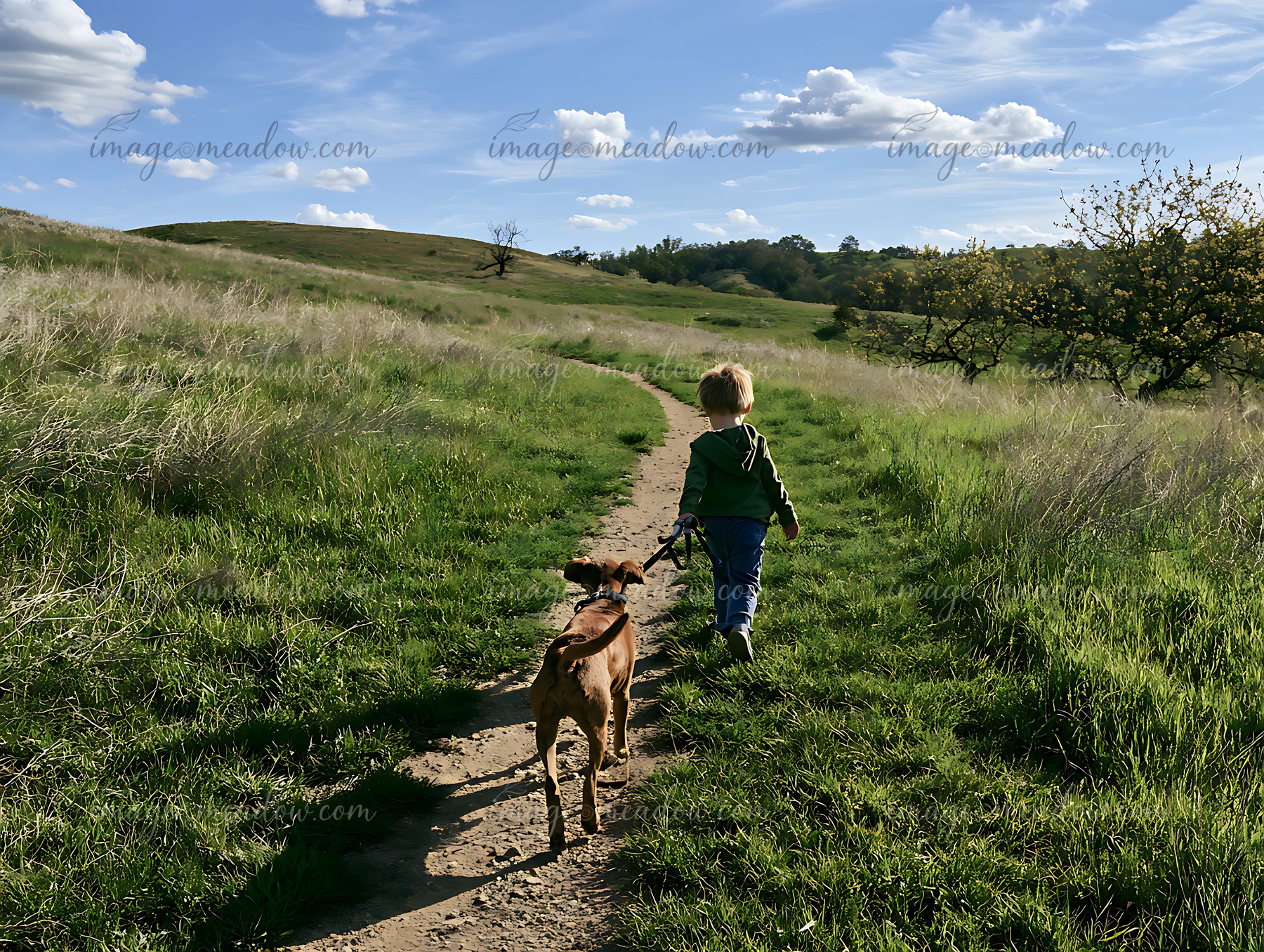 Child walks a dog along a narrow trail through a sunlit meadow beneath a blue sky.