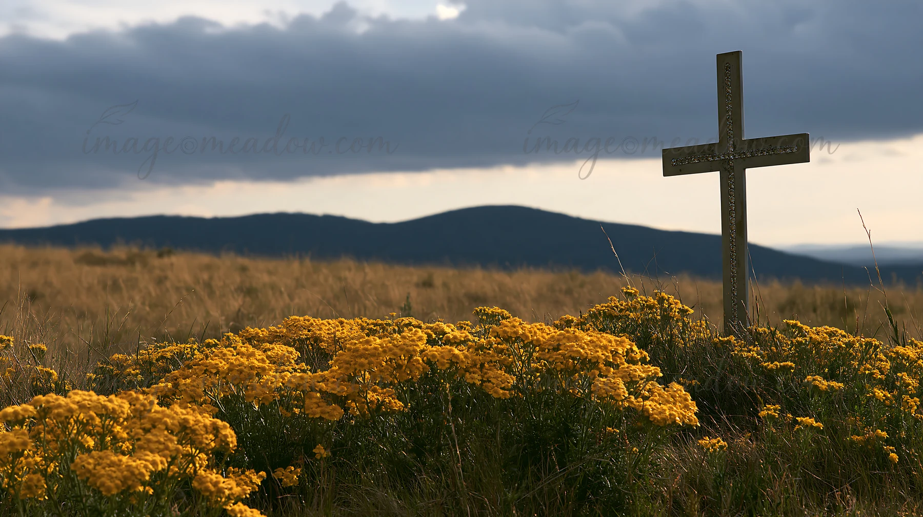 A cross stands in a field of yellow wildflowers with mountains in the background. The scene captures a moment of natural beauty and reflection in an open meadow