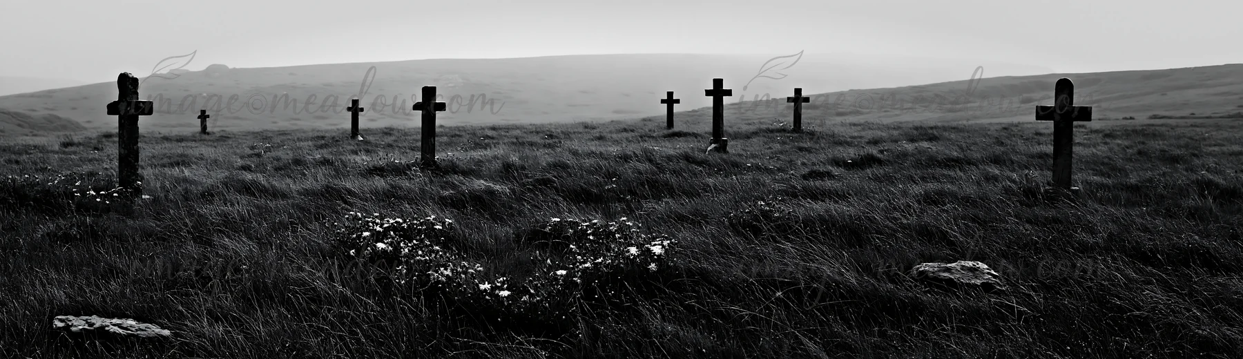 Crosses stand in a meadow covered with rain. The grass is wet and the sky is overcast. The scene is quiet, with a few flowers visible among the grass. The locat