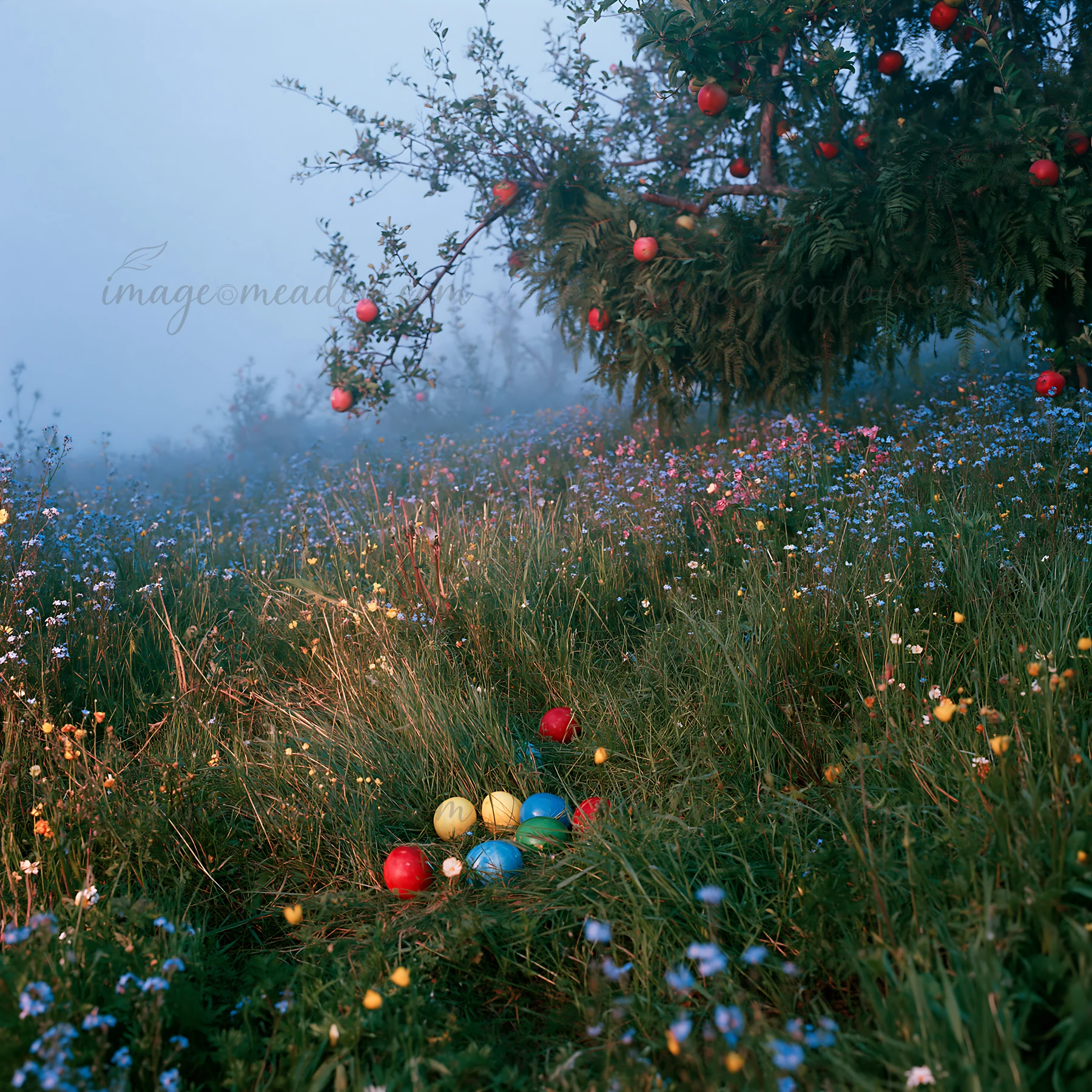 An apple tree stands in a meadow filled with colorful flowers and bracken. Brightly colored ornaments lie scattered in the grass. The scene is set during a fogg