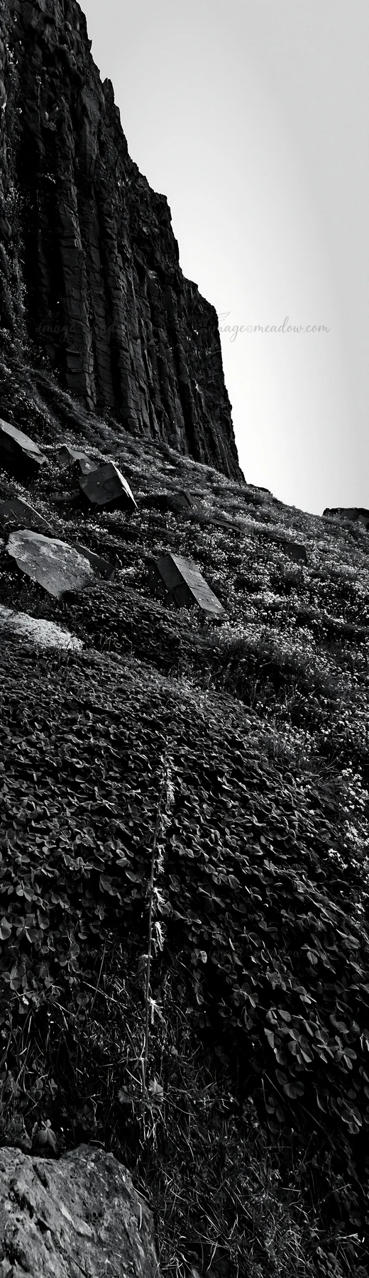 The scene shows a clover speedwell meadow on a slope, surrounded by large rocks and rocky cliffs in the background. The environment feels natural and lush. Pres