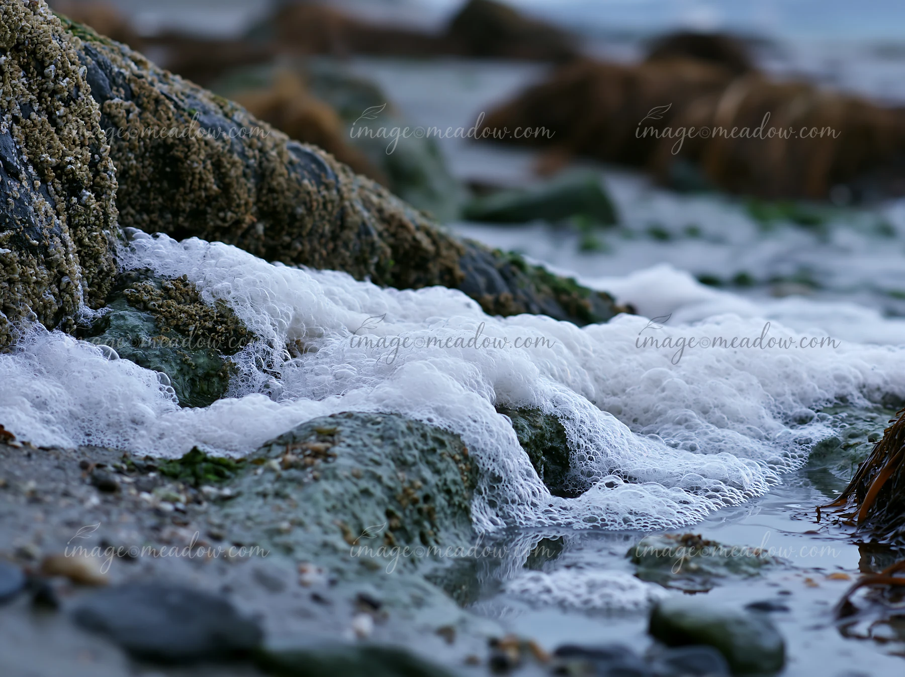 Foamy waves hit the exposed rocks along the coastline, revealing patches of green seaweed and sand.