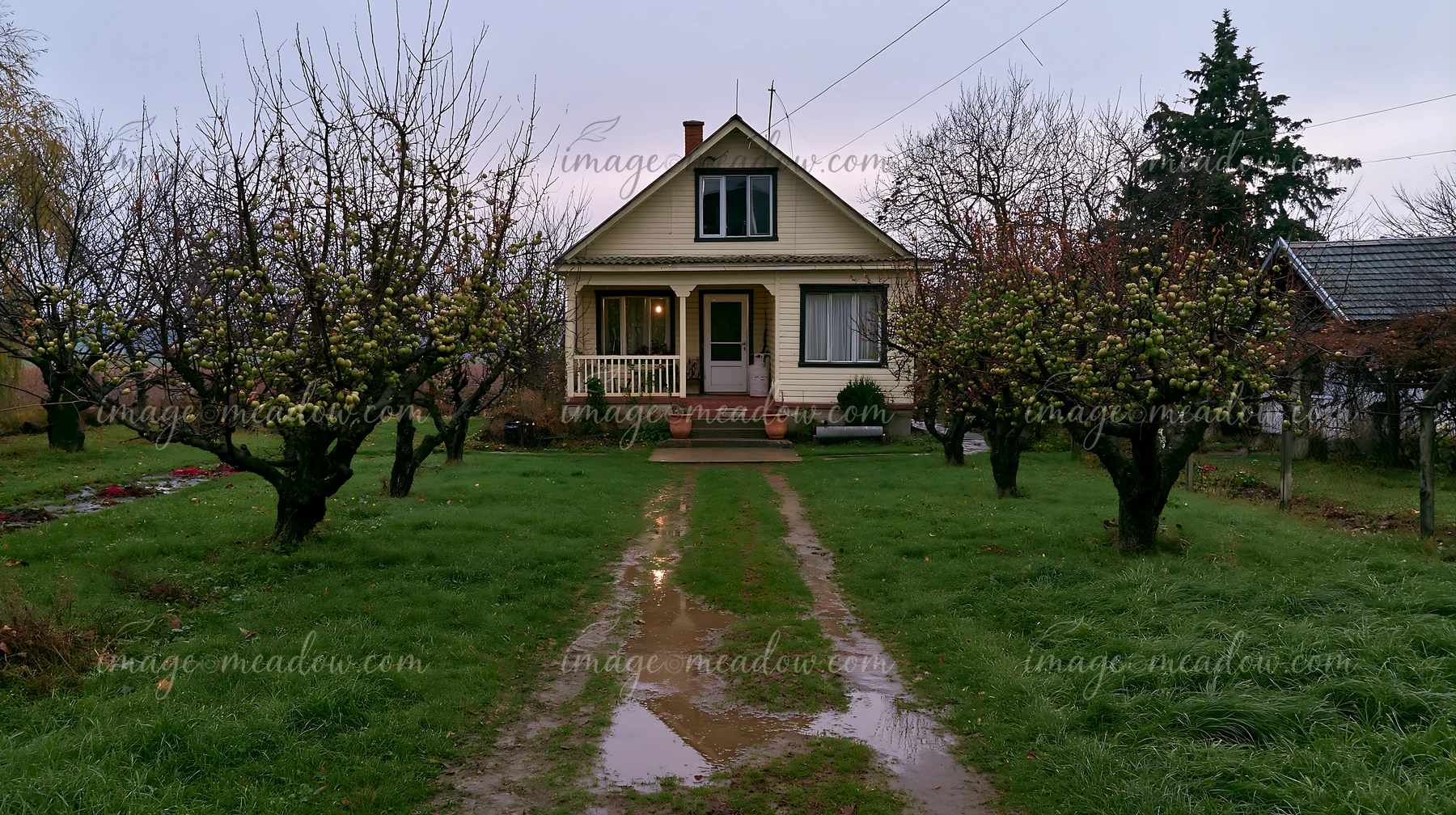 Fruit trees around country house create a cozy atmosphere.