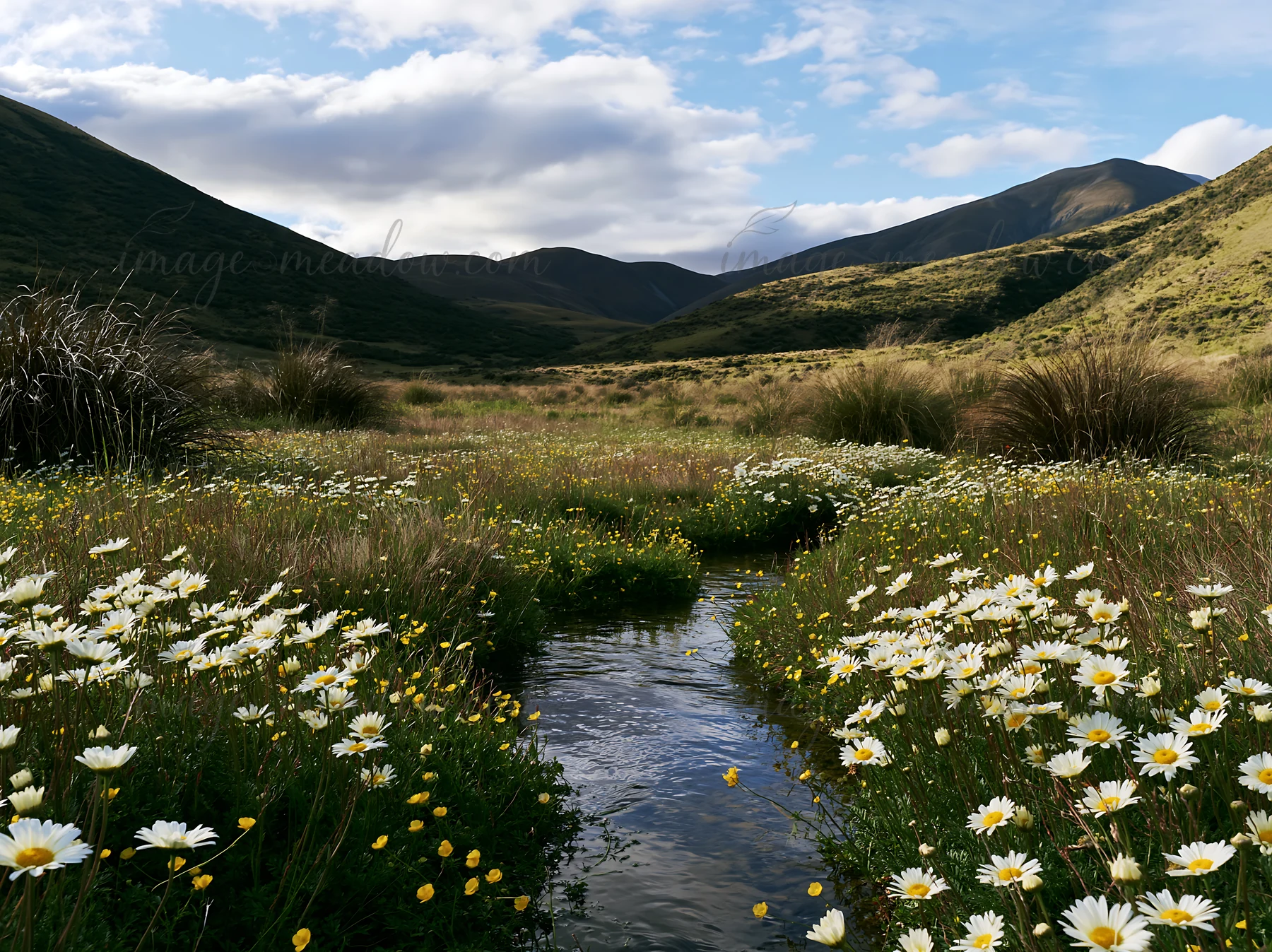 A stream flows through a meadow filled with flowers. The landscape features rolling hills and mountains under a partly cloudy sky. The scene captures the natura