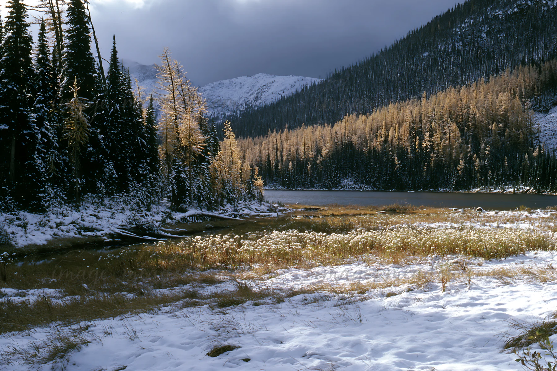 A meadow by the lake shows fresh snow. Evergreen trees line the shore, and mountains rise in the background. The scene captures the quiet beauty of nature in wi