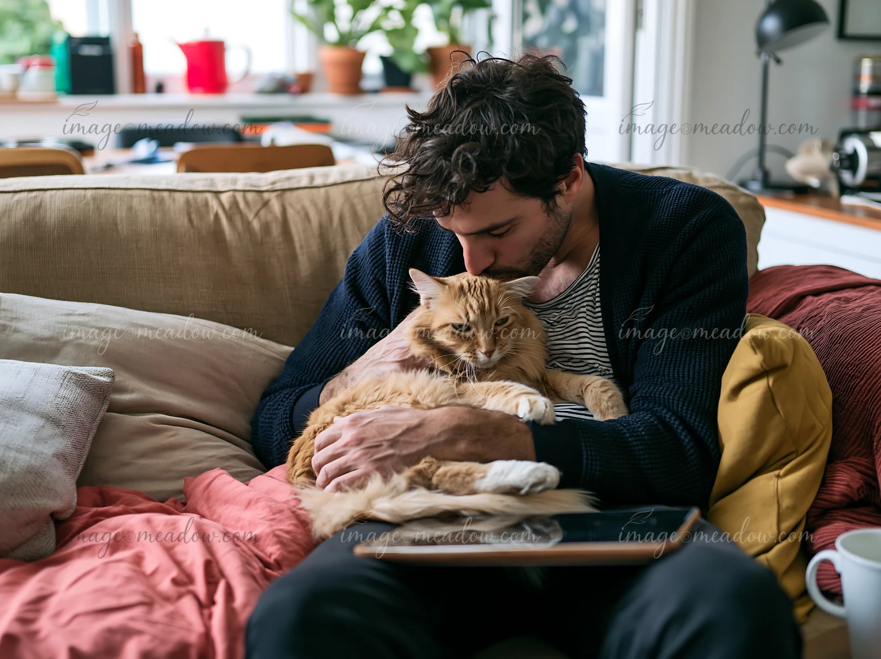 Man kisses a fluffy orange cat while cuddling on a sofa in a bright living room.