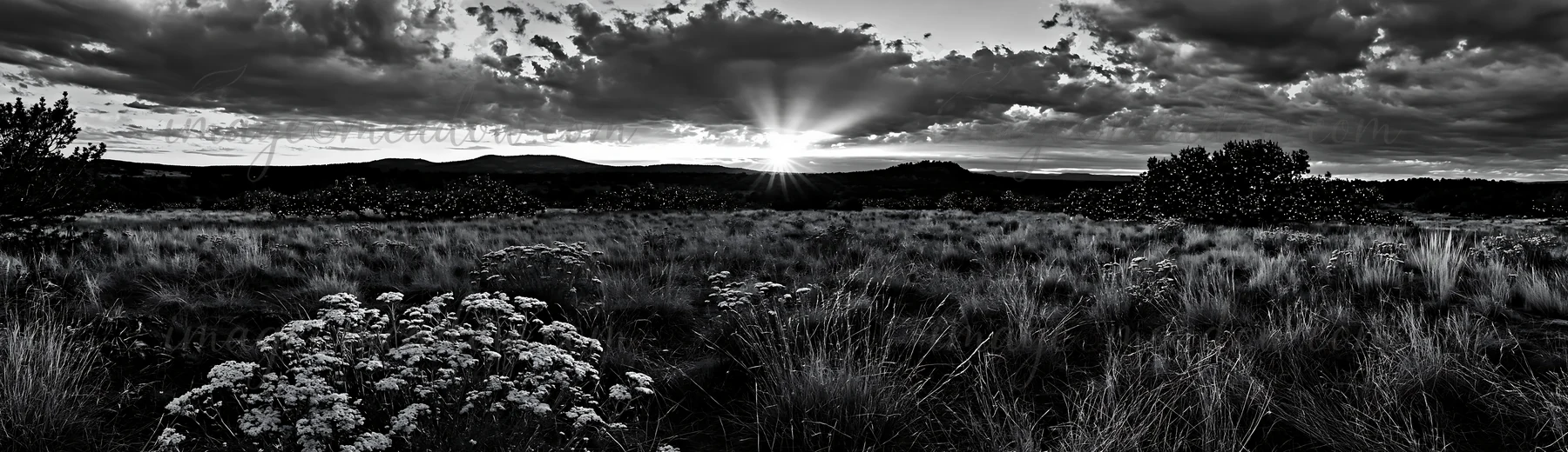 A meadow is lit with Christmas string lights. Clouds fill the sky, and sun rays shine through, creating a warm atmosphere. The scene showcases nature and festiv