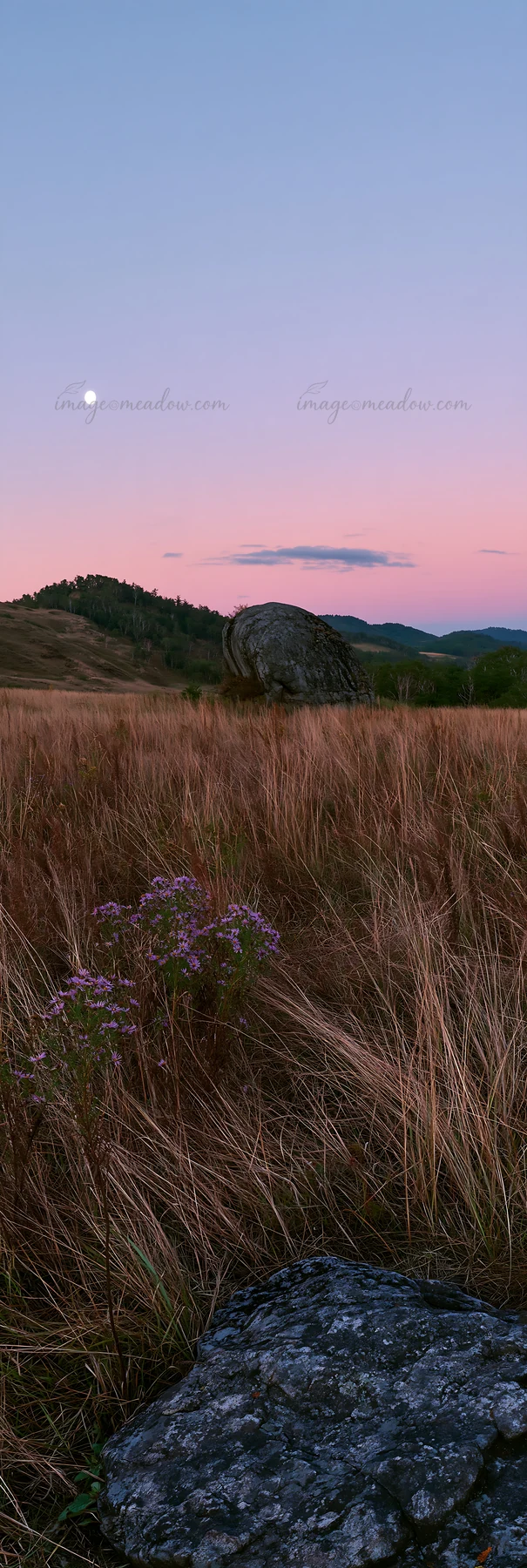 A granite boulder sits in a drought resilient meadow in Nagano during dusk. The sky displays soft colors as the moon rises. Grass and wildflowers fill the foreg