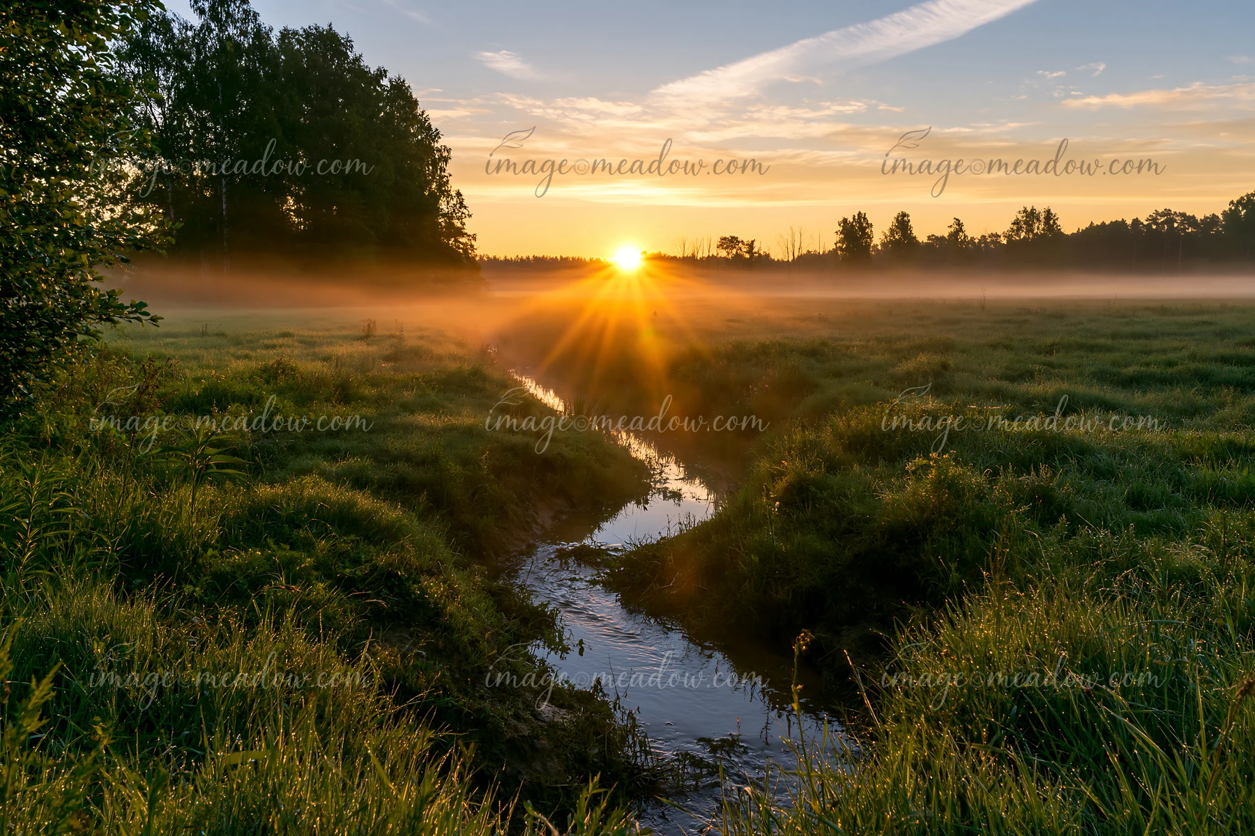 Sunbeams over a misty meadow create a warm glow as the sun rises above the horizon.