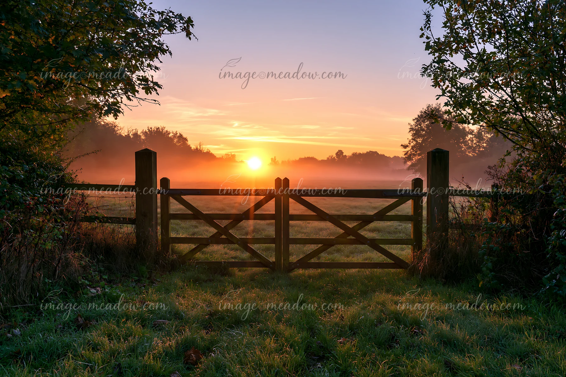 Sunbeams over a misty meadow shine through a wooden gate at sunrise.