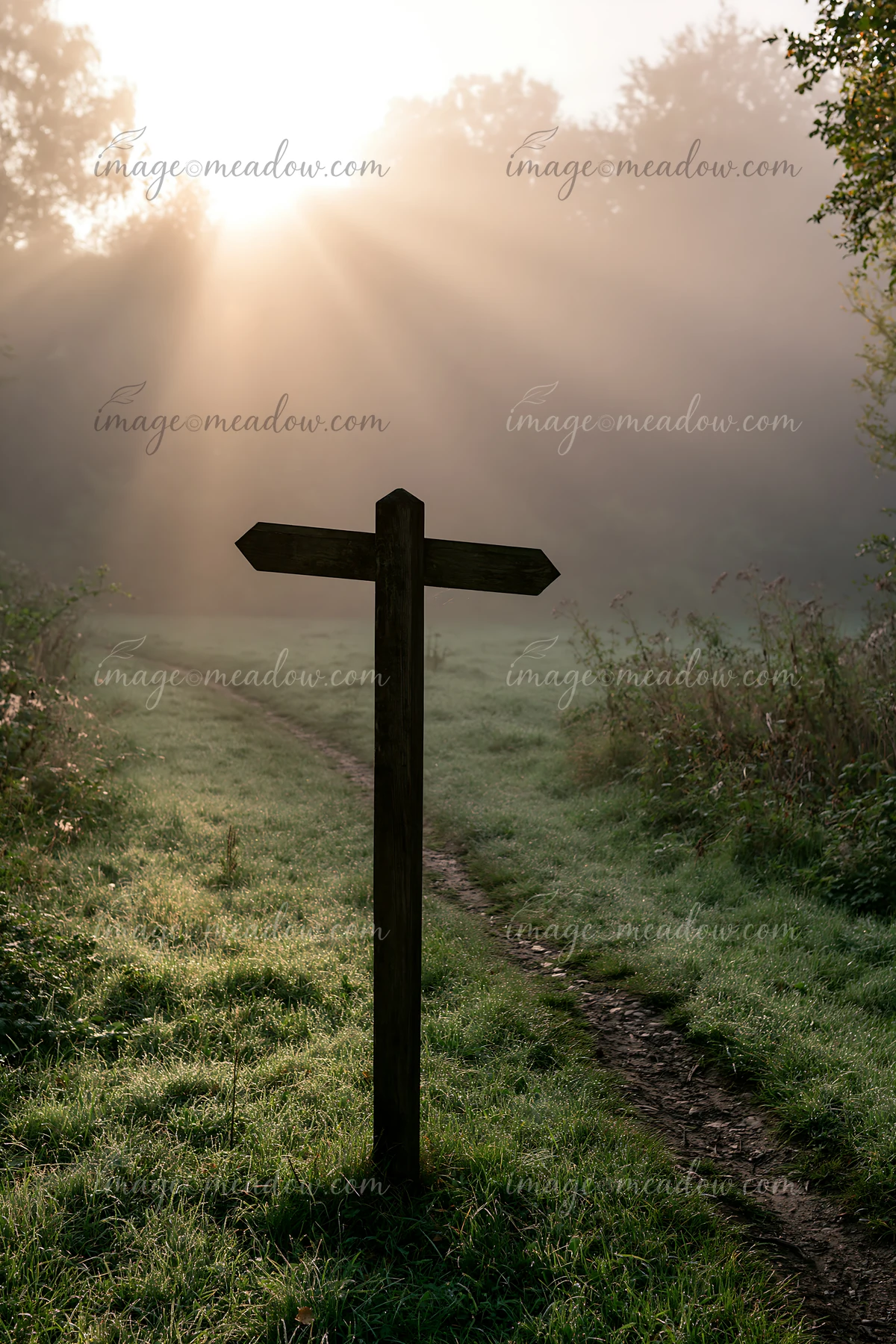 Sunbeams over a misty meadow shine through trees, highlighting a wooden signpost at a path's edge.