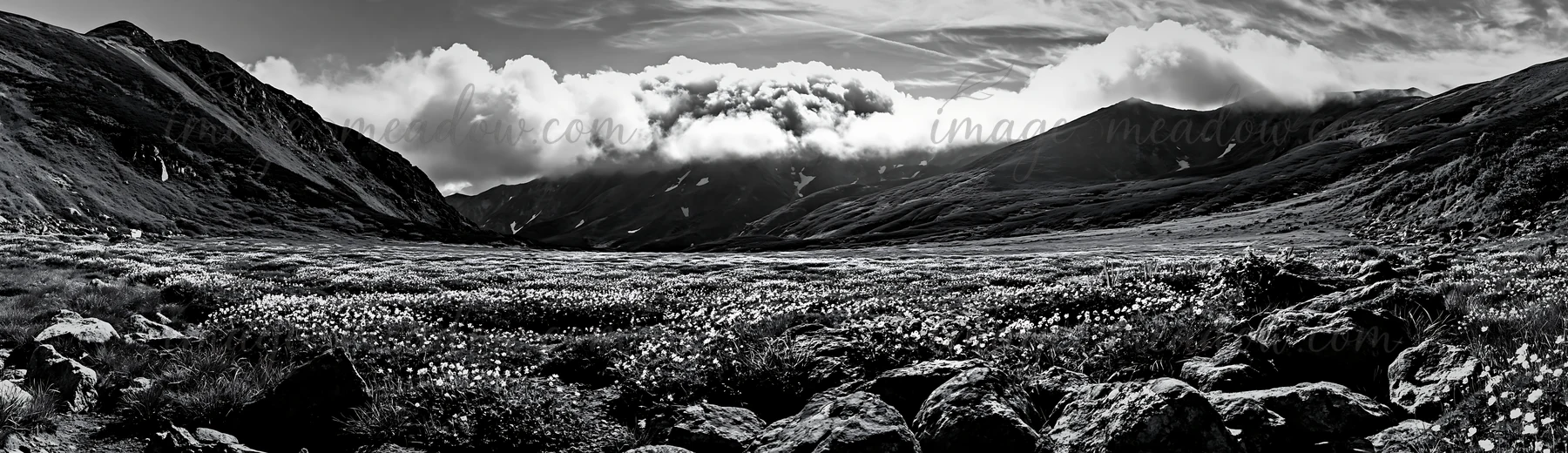 View of the Toyama alpine meadow featuring snowmelt and rocks in the foreground, with mountains and clouds in the background during daytime. Presented as a prem