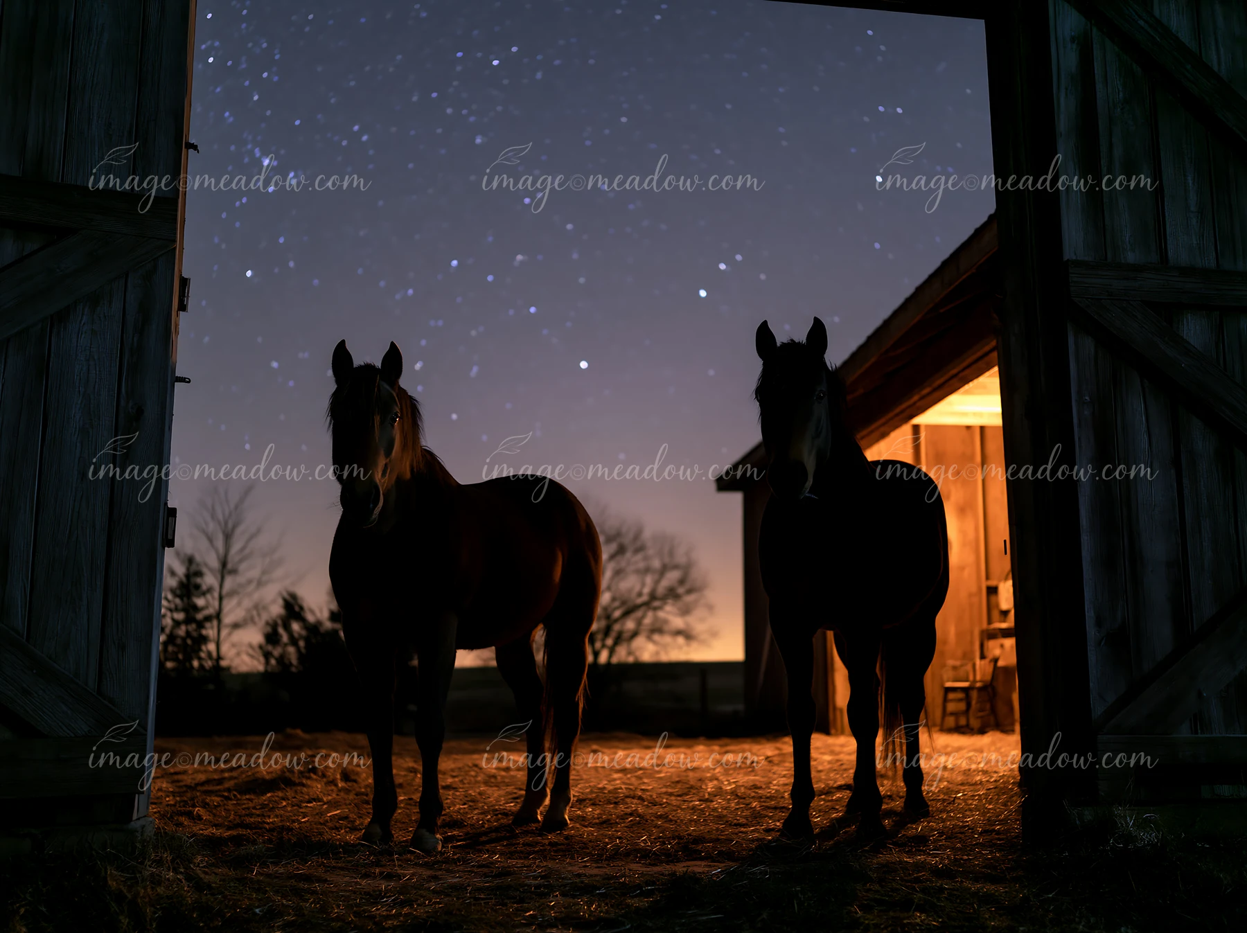 Two horses stand in the doorway of a barn under a sky filled with stars.