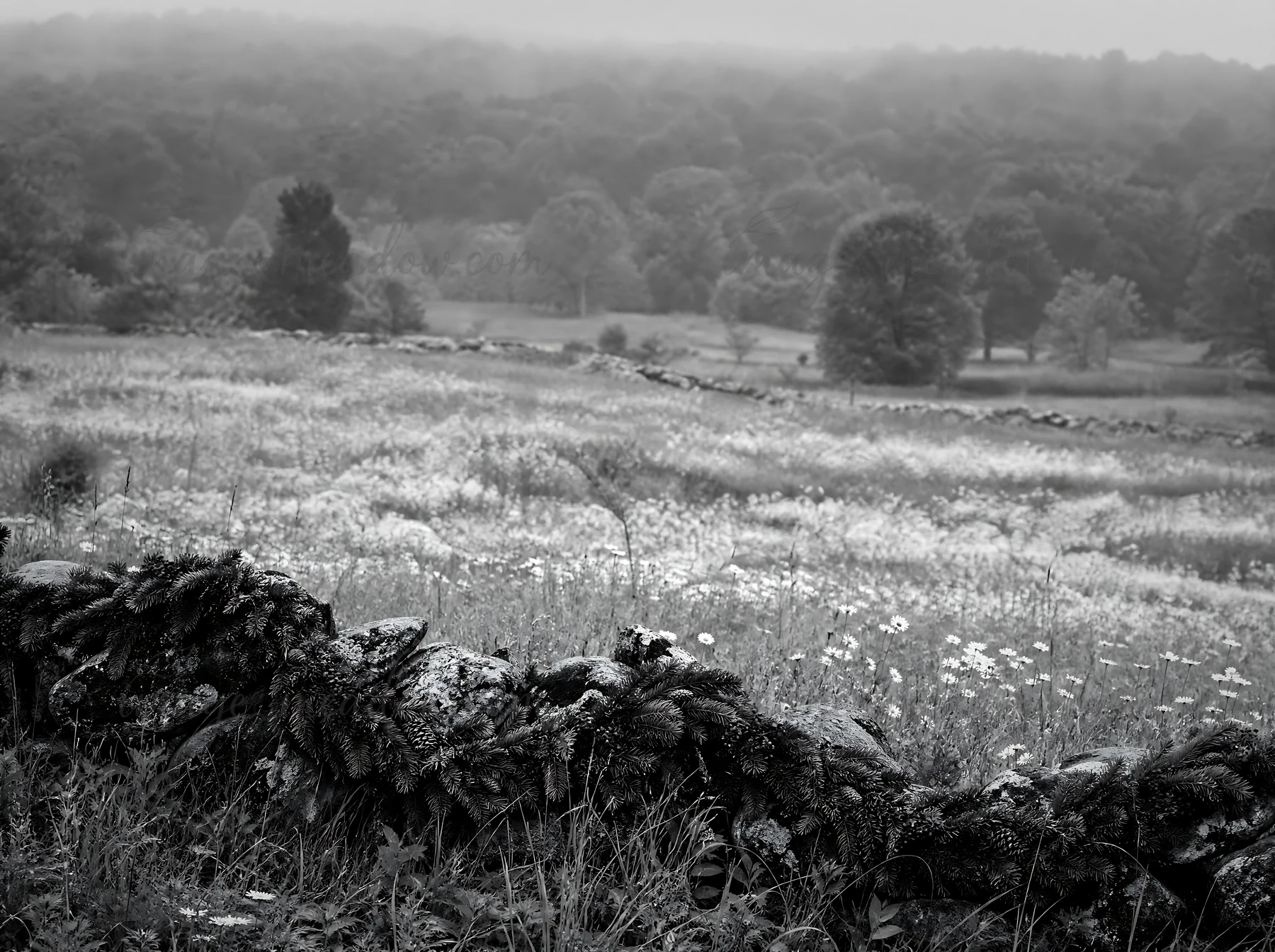 A bright Christmas garland curves through a meadow filled with tall grass and wildflowers. The scene shows a mix of greenery and blooming flowers under an overc
