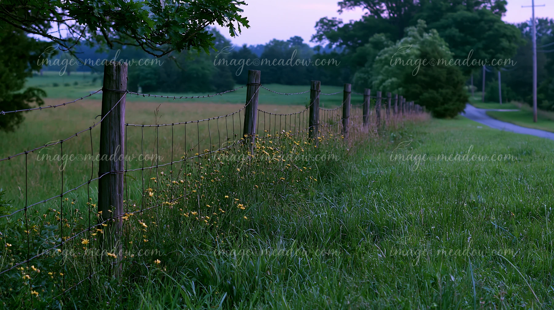A barbed wire fence runs along a meadow beside a rural road.