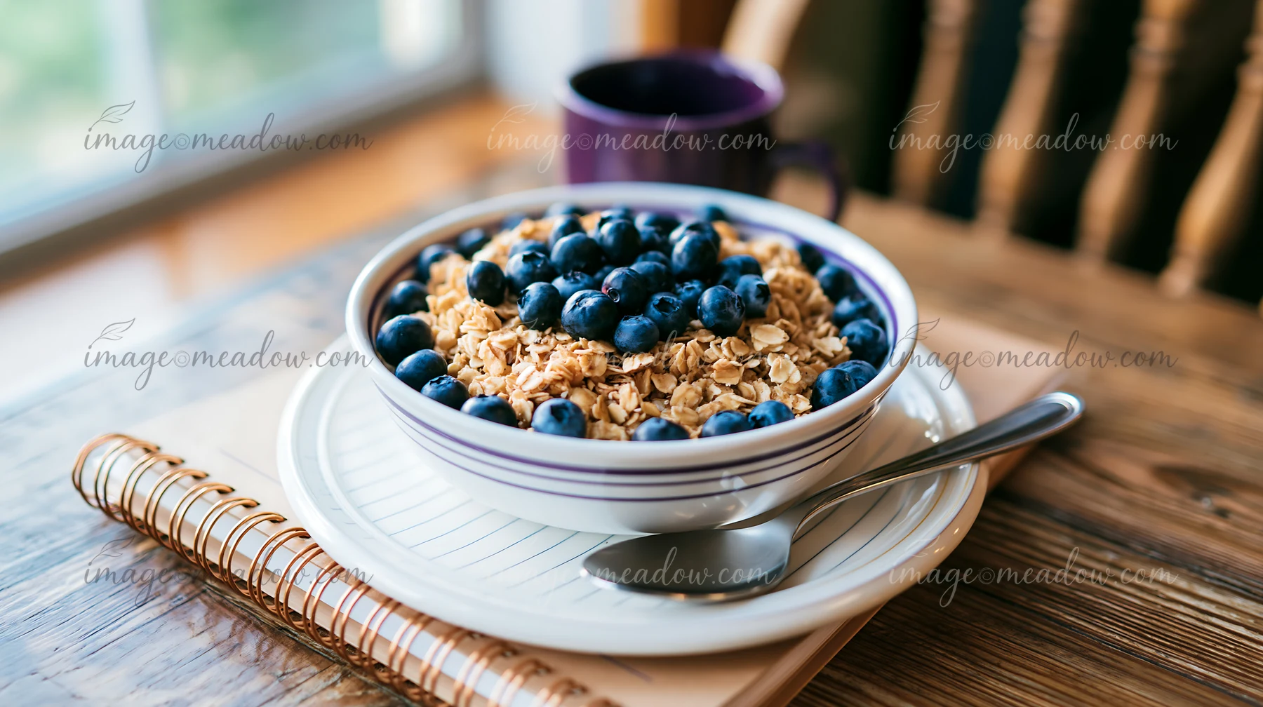 A bowl filled with muesli topped with blueberries sits on a wooden table.