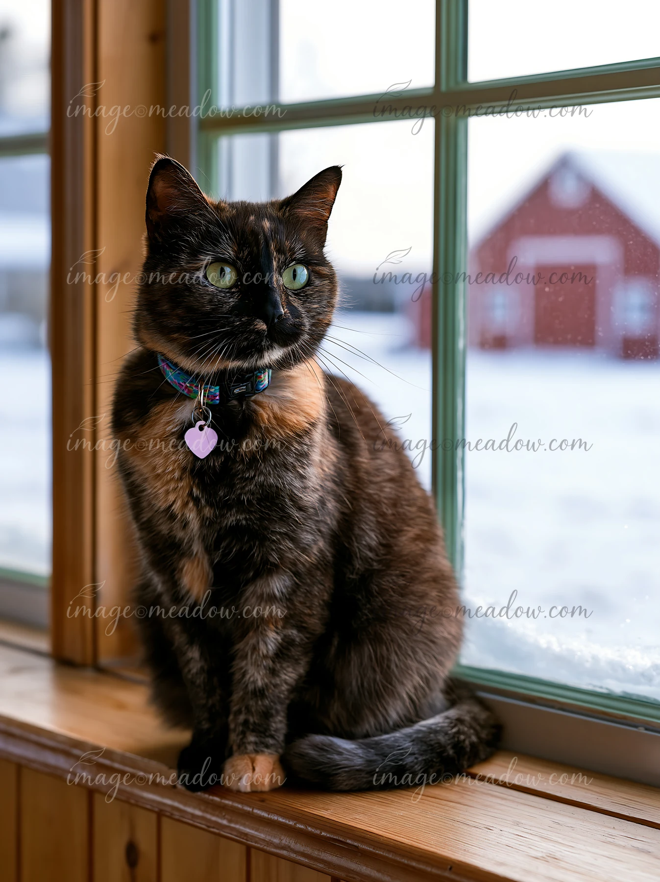 A cat sitting on a wooden windowsill in a country house, looking outside at the snowy yard.