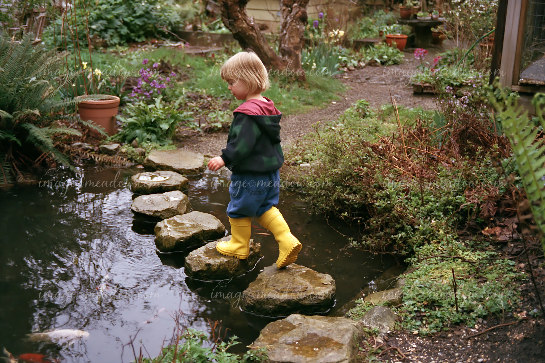 A child in yellow boots crosses stepping stones over a small pond in a garden.