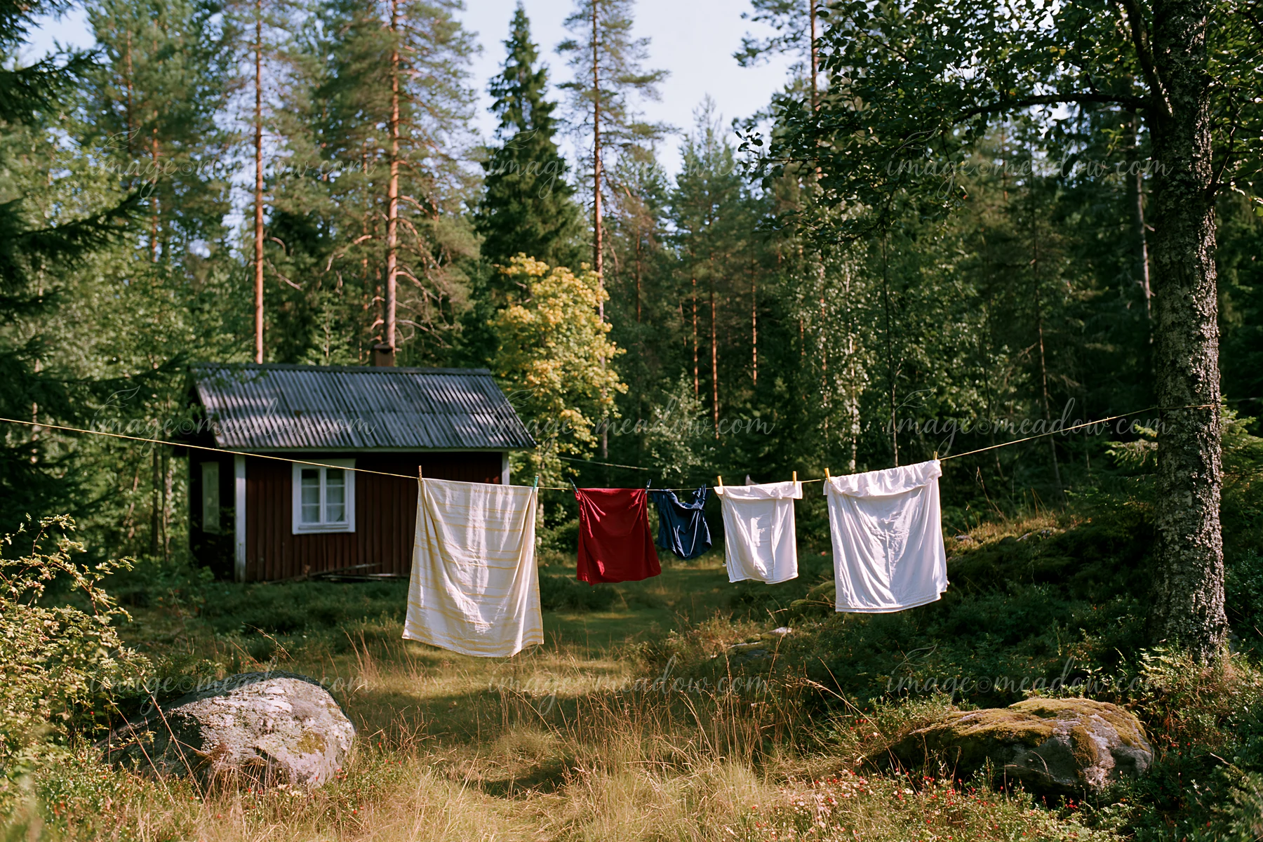 A cottage near forest edge features clothes hanging on a line, with a backdrop of trees and rocks.