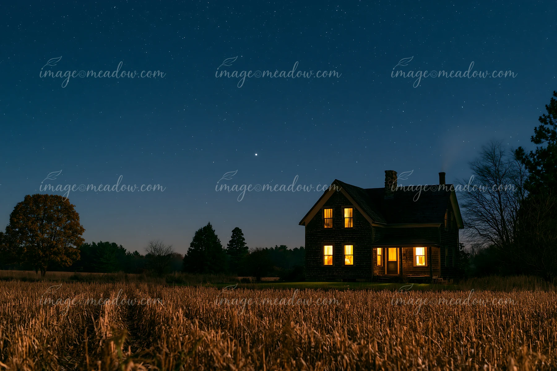A country house stands alone in a golden field under a starry sky.