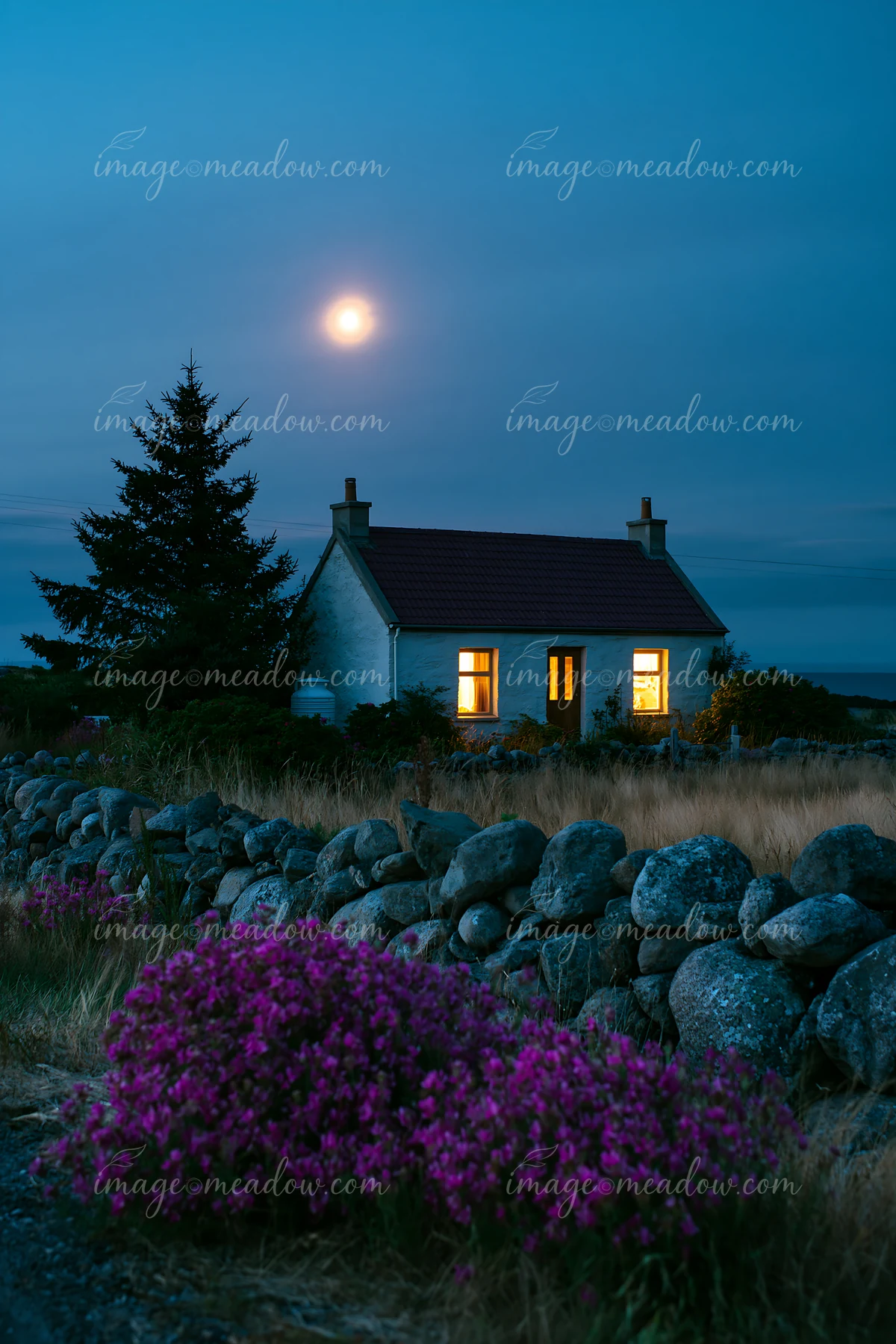 A country house under starry sky stands in a quiet area, with bright windows and flowers in the foreground.