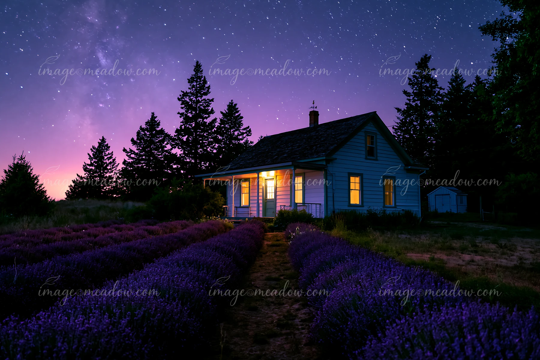 A country house under starry sky stands next to a field of lavender, with light glowing from the windows.