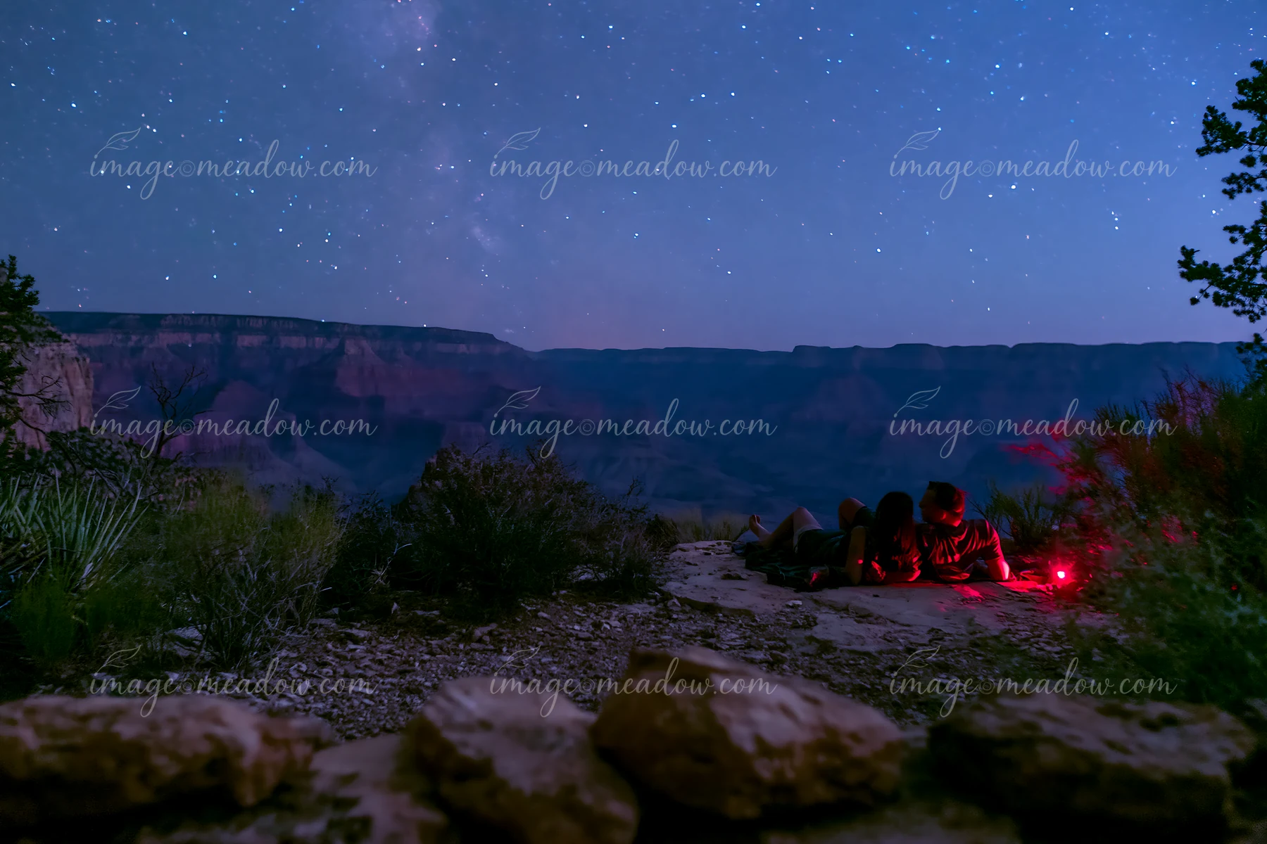 A couple is stargazing in a national park, lying on the ground while observing the night sky filled with stars.