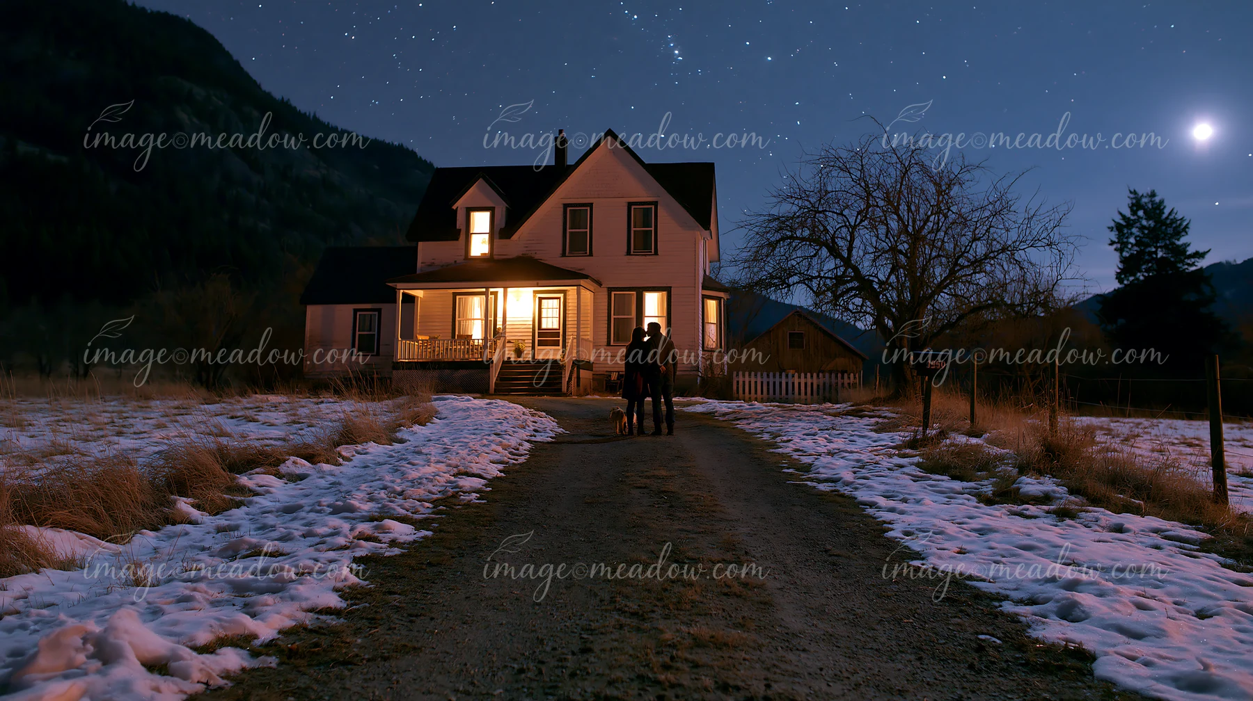 A couple kisses under the stars while standing on a snowy path near a house.