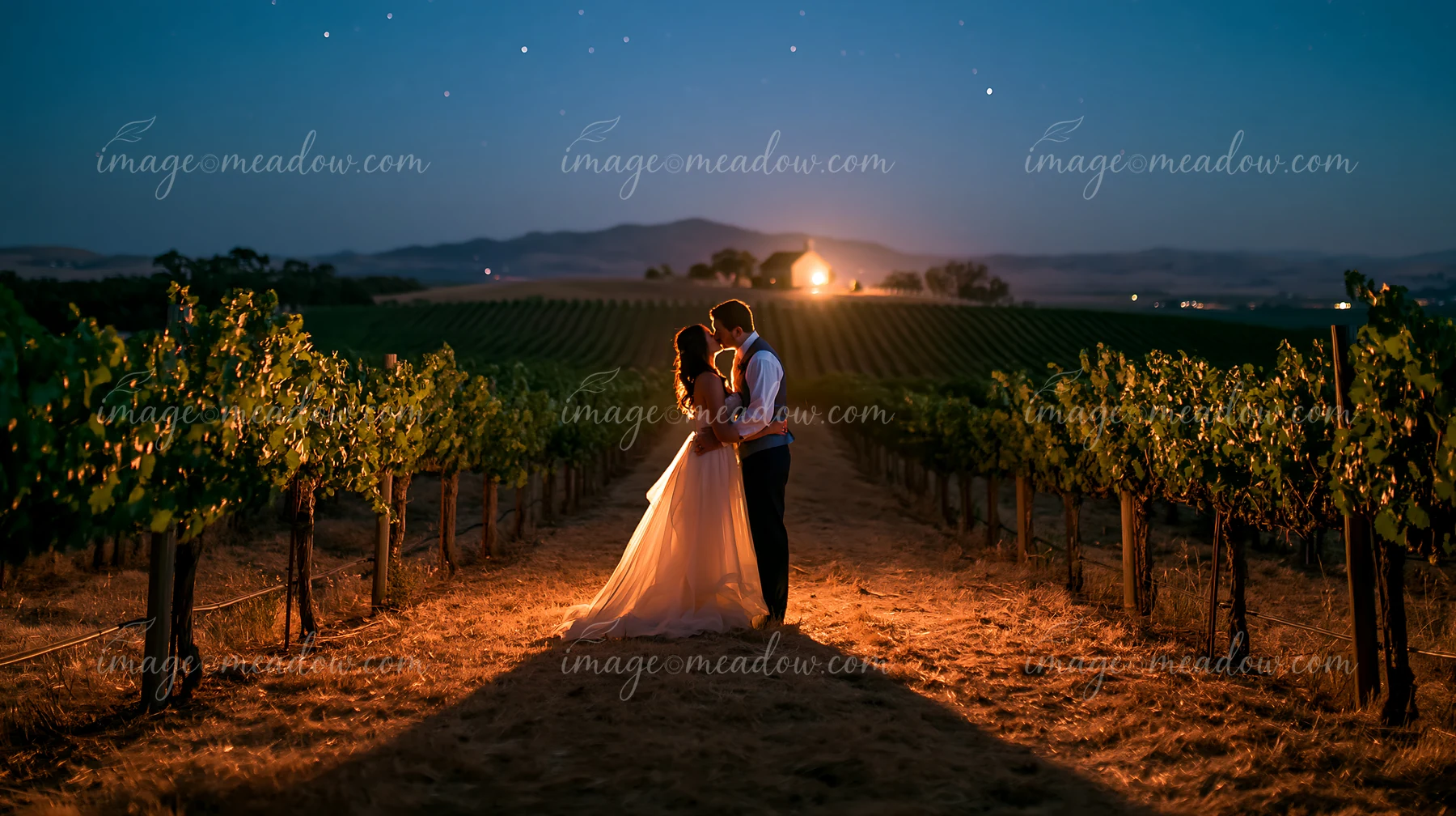 A couple kissing under a starry sky in a vineyard during nighttime.