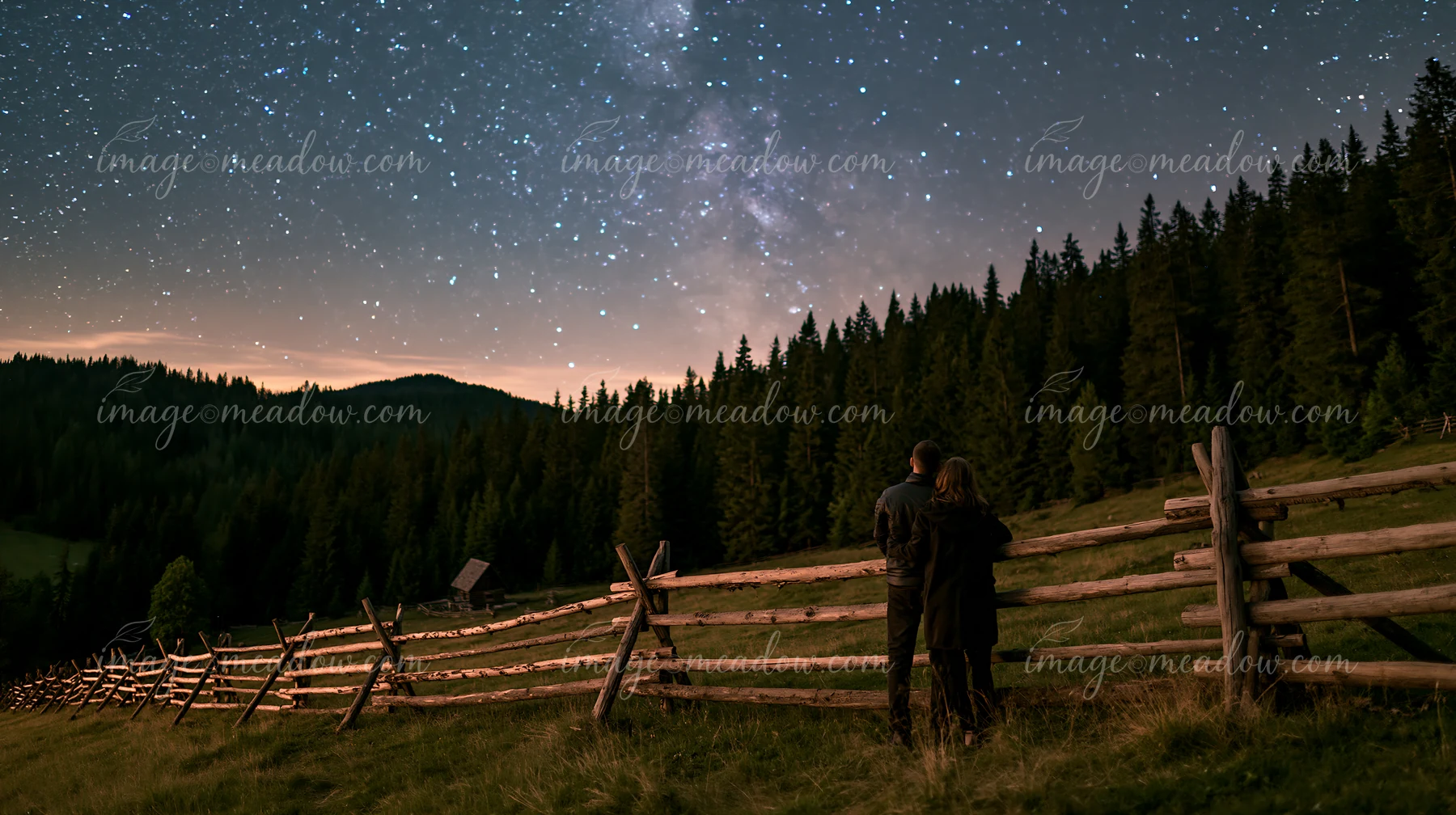 A couple under stars in a pine forest observes the night sky filled with bright stars.