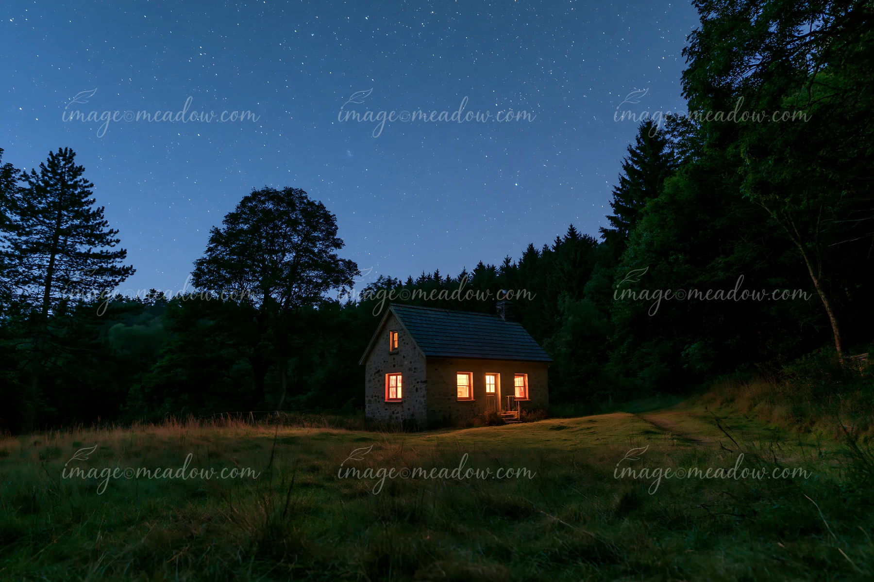 A house sits in a meadow surrounded by trees under a starry sky.