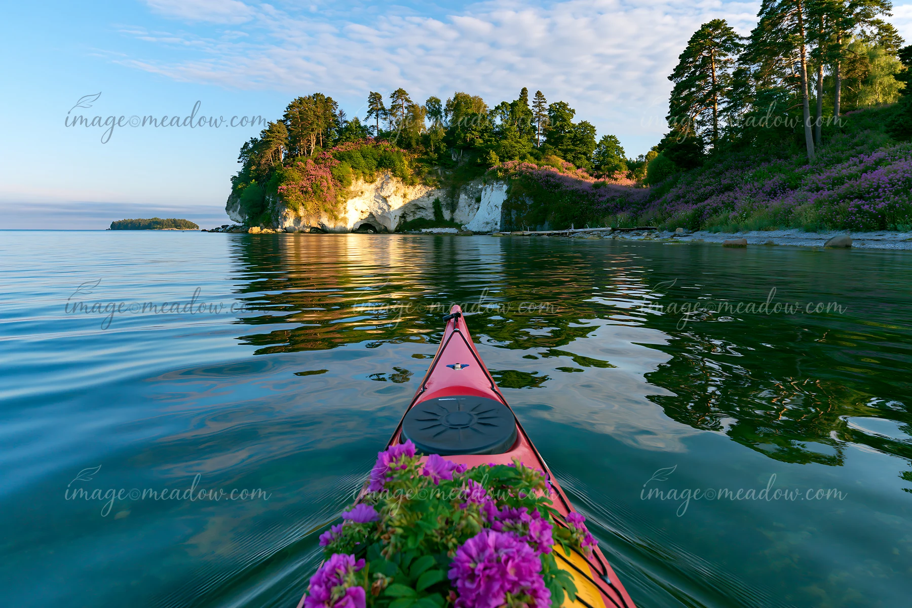 A kayak moves through calm waters near an island with flowers and white cliffs.