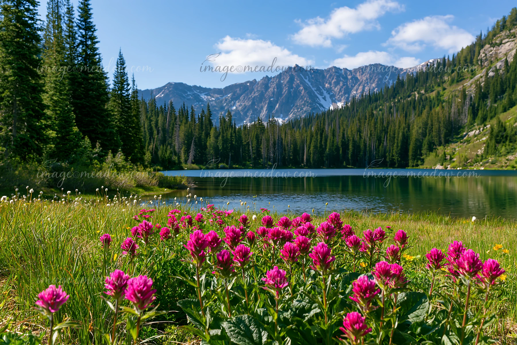 A lake reflects surrounding mountains with green forests and vibrant flowers at the water’s edge.